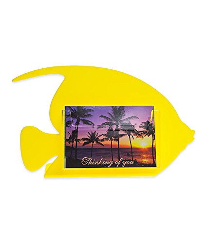 Yellow Ct