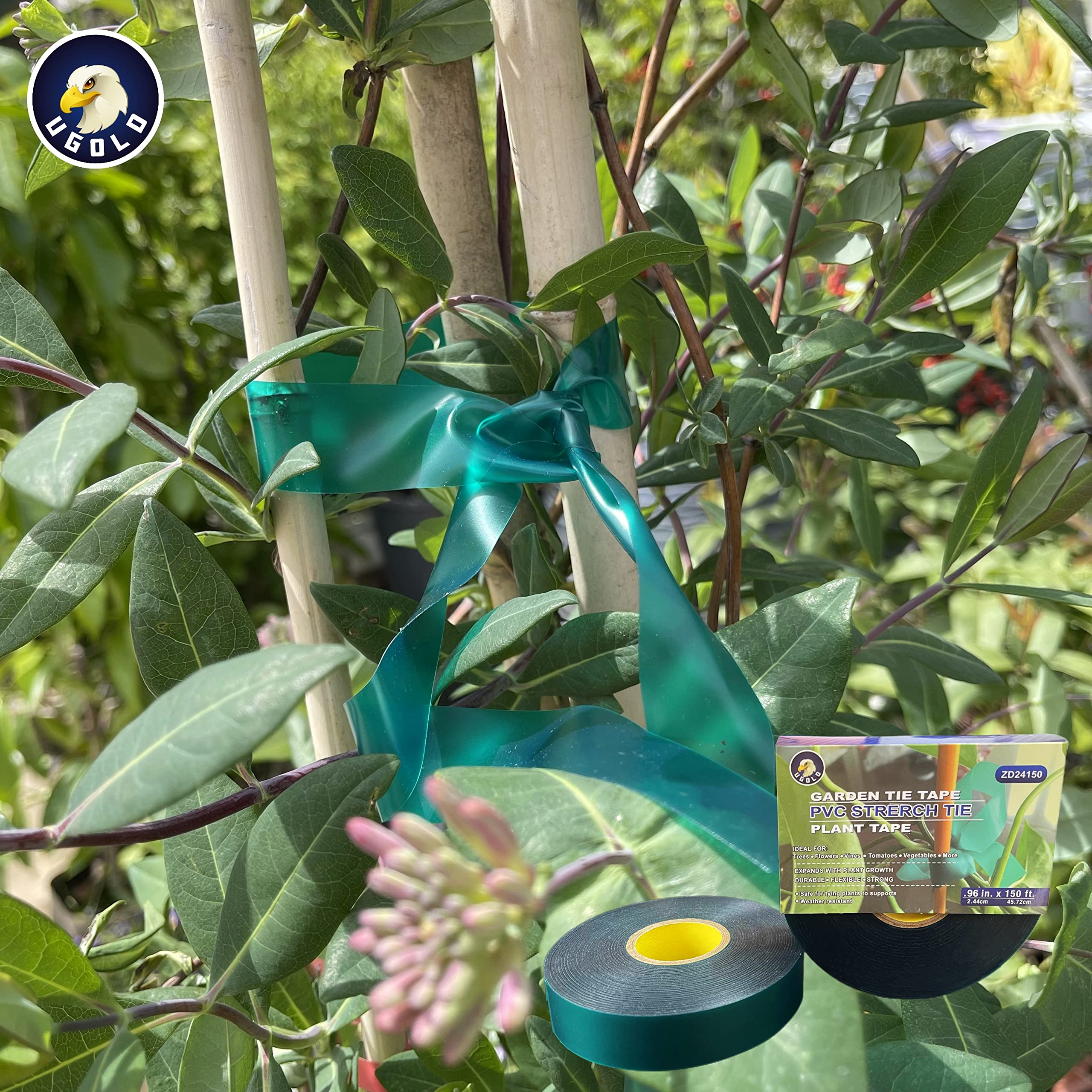 8 Mil Extra Thick 150 Feet x 1 Inch Stretch Plant Tie Tape - Heavy Duty Garden Tape for Planting, Grafting, and Supporting Tomatoes, Grapes, Vines, and Trees | Durable Green Plant Ribbon for Vineyards, Greenhouses, and Home Gardening Use