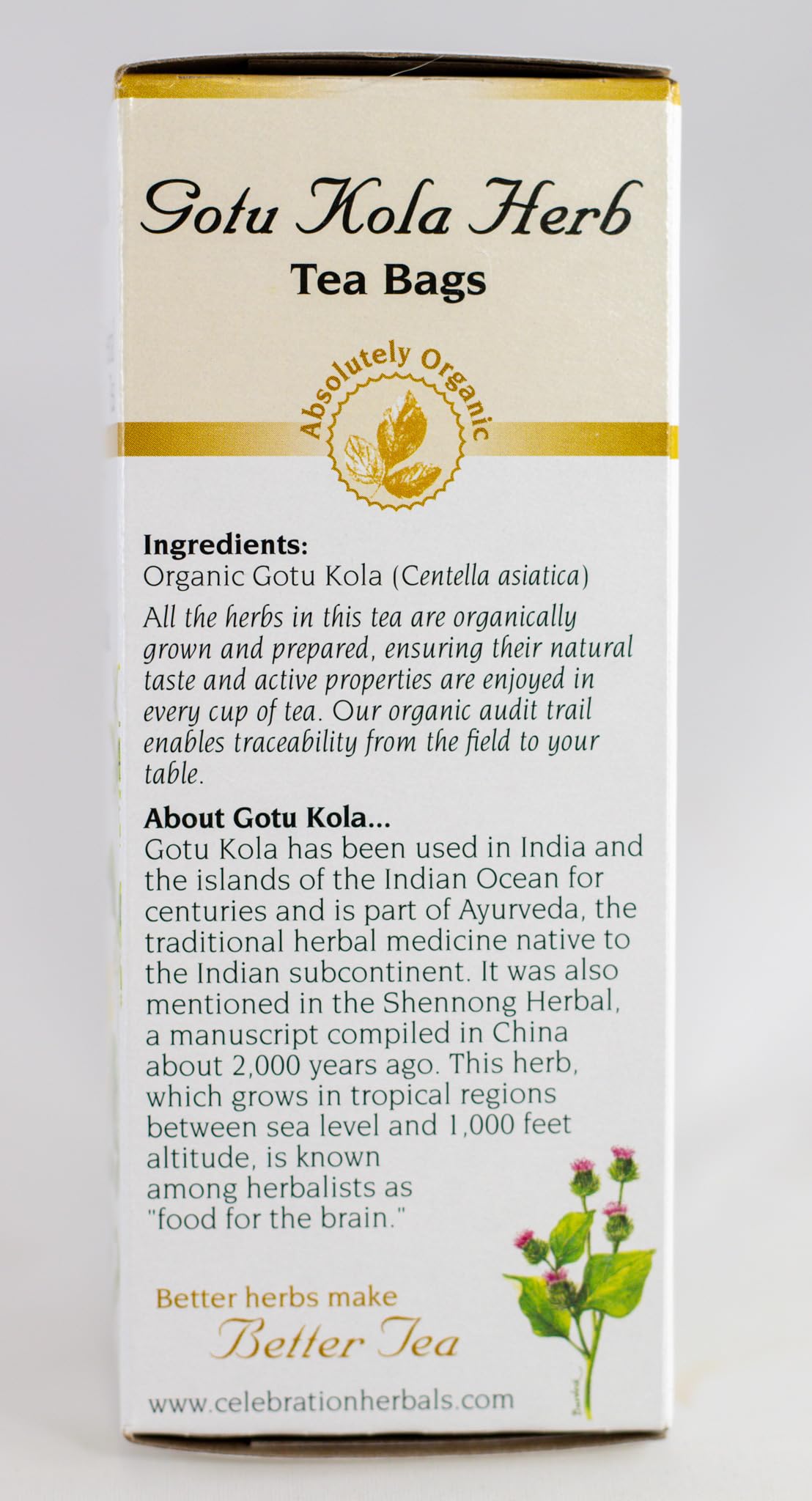 Celebration Herbals Organic Gotu Kola Tea Bags - 24 Count | Herbal Wellness Tea for Memory & Circulation | Perfect for Relaxation & Focus