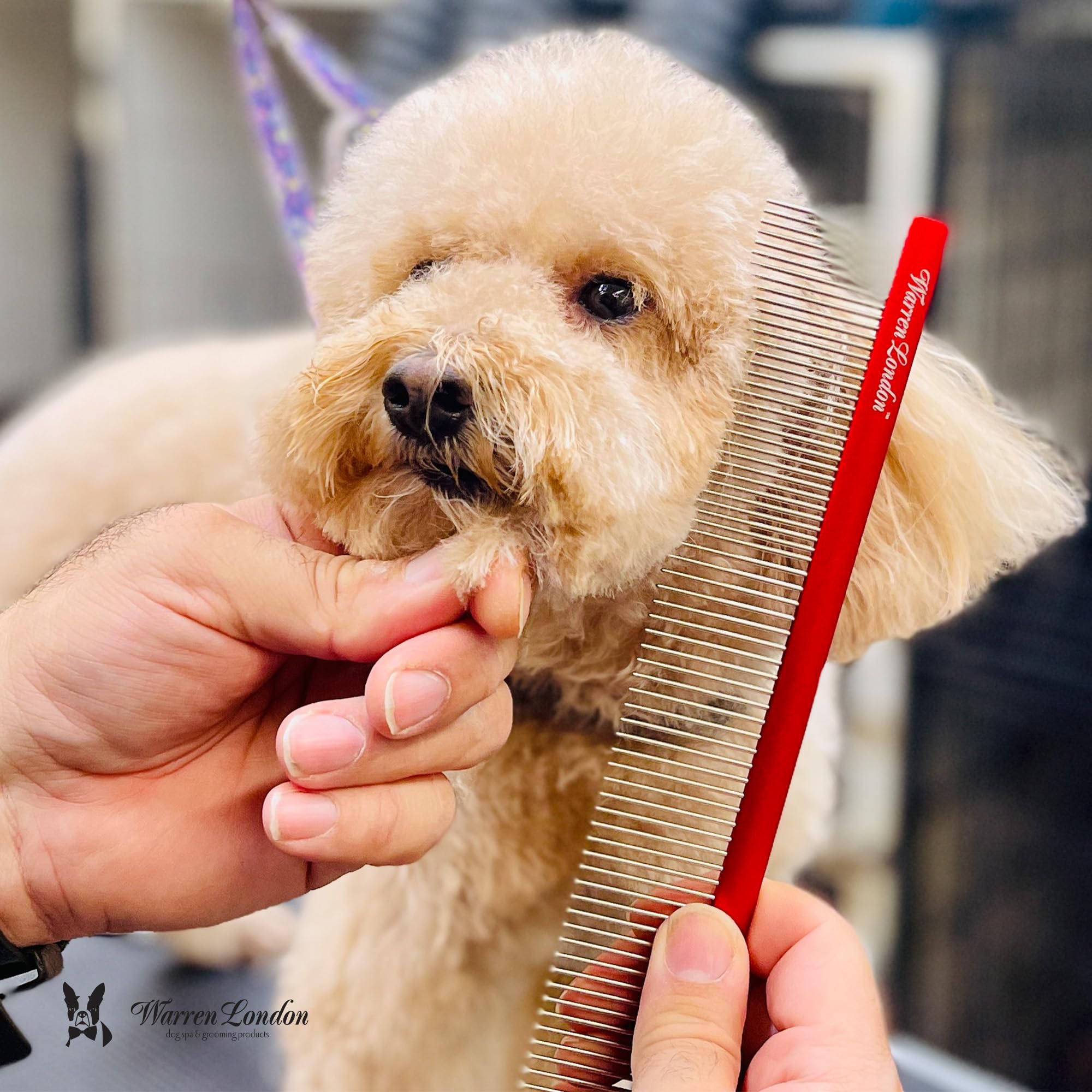 Warren London Detangling Comb for Dogs - 10 Inch Pet Grooming Brush for Small, Medium & Large Dogs | Ergonomic Design for Comfort & Durability | Deshedding Tool for Cats & Dogs | Perfect for Home Grooming & Professional Pet Care