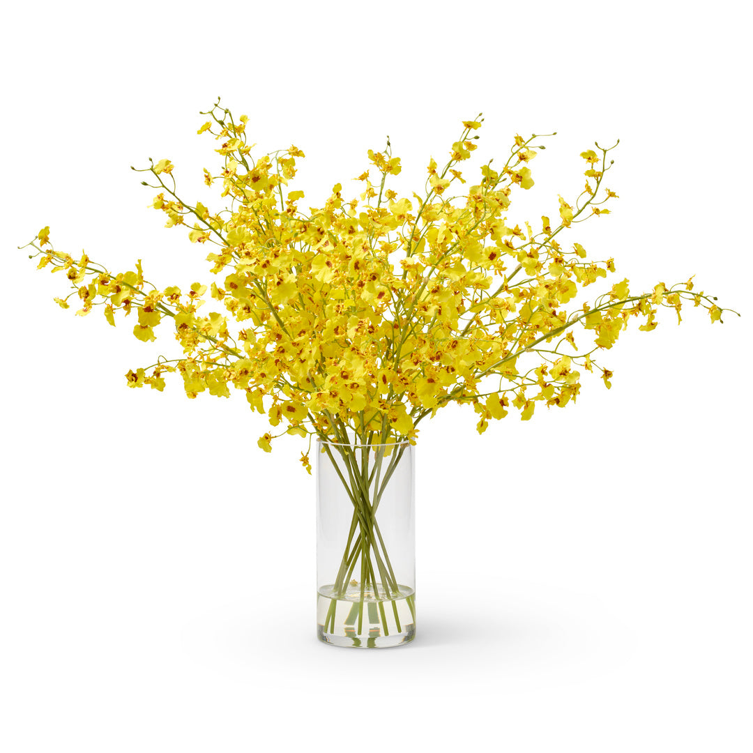 Beautiful Yellow Oncidium Orchids for Home & Office Decor - Perfect for Weddings, Parties & Gifts