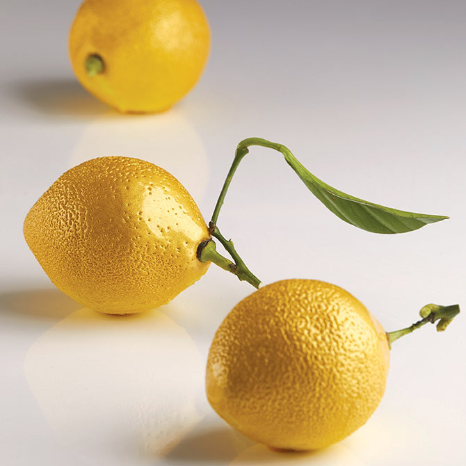 Pavoni Citron Mold - 8 Piece Lemon Tart Pastry Forms Set for Professional Baking - Perfect for French Desserts, Patisserie, and Home Bakers