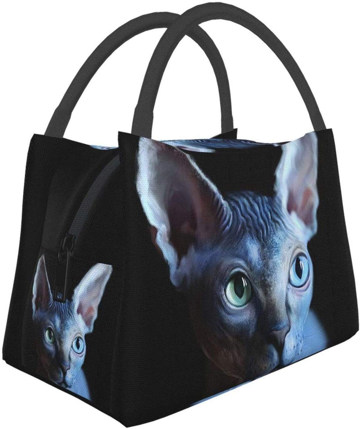 Portable Insulated Lunch Bag for Women & Men - Leakproof Thermal Tote for Office, School, Hiking, Beach Picnic & Fishing - Cute Sphynx Cat Design Bento Box Carrier for Work, Travel & Outdoor Activities