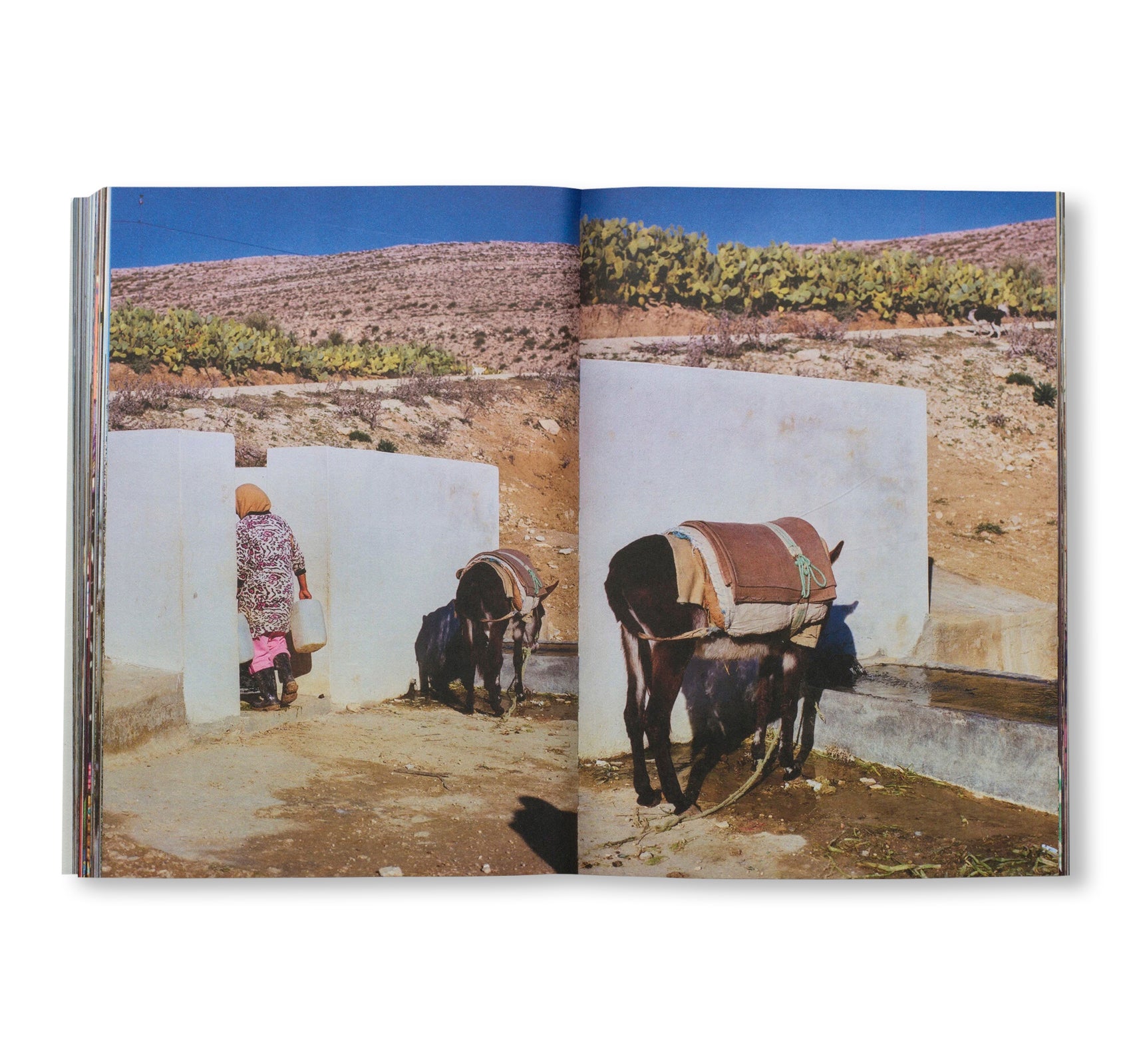 AISHA by Yumna Al Arashi - Second Edition Fashion Photography Book | Perfect for Art Lovers, Coffee Table Decor & Creative Inspiration