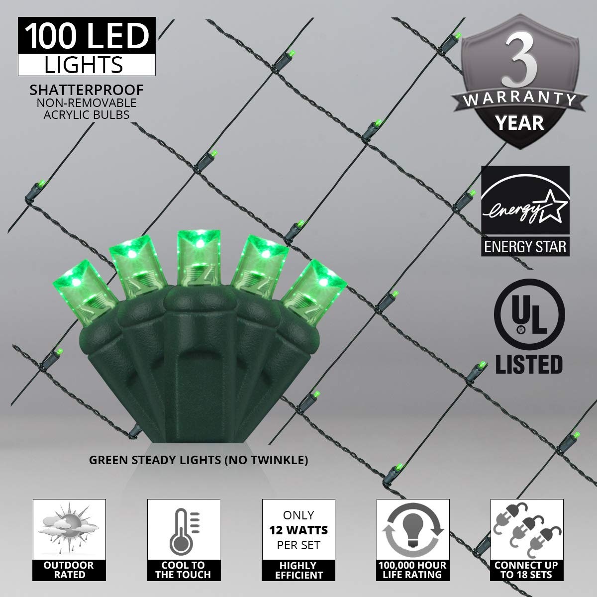 Wintergreen LED Net Lights - 100 LEDs, 4x6ft for Outdoor Christmas Decor