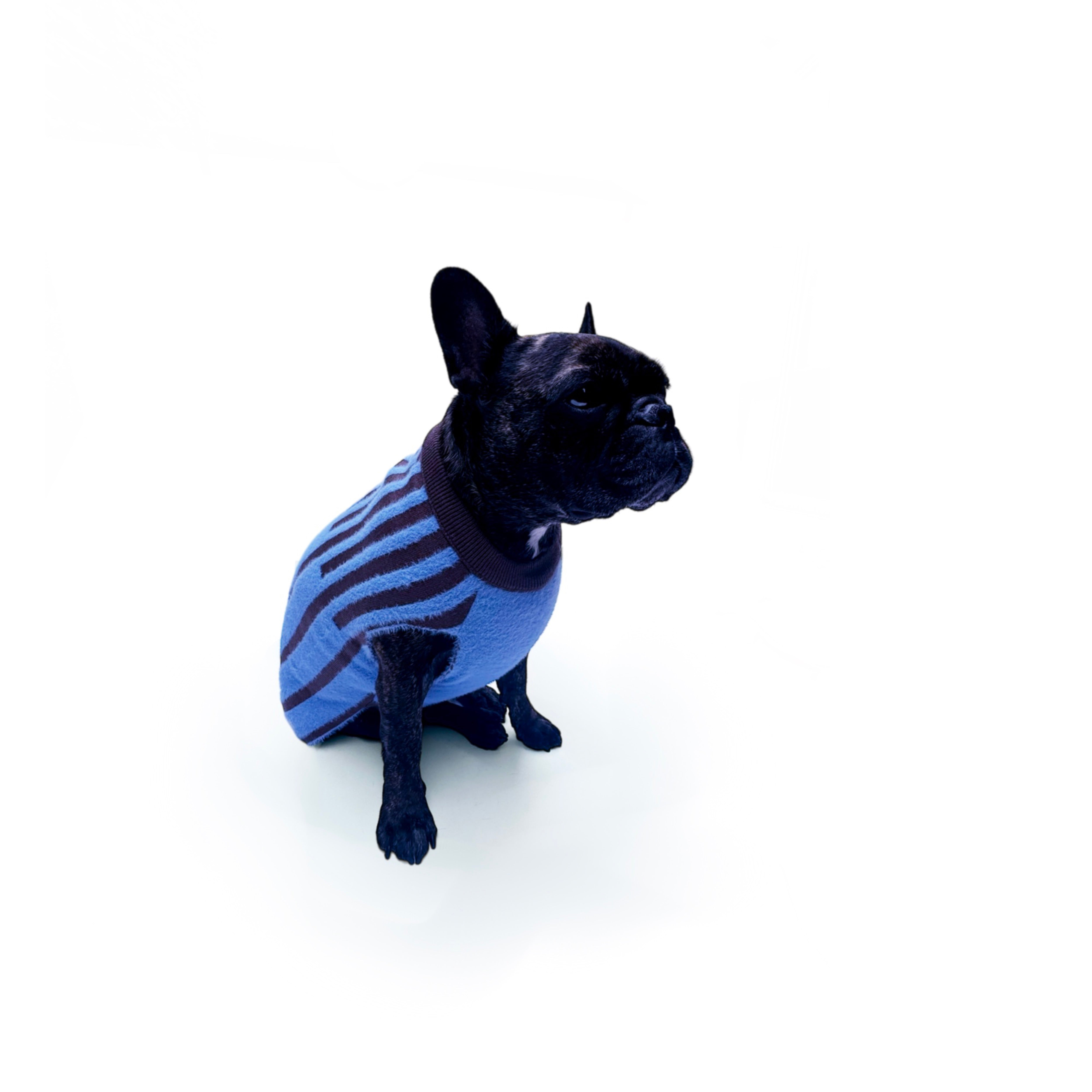 Blue Striped Dog Sweater - Cozy & Stylish Knitwear for Small & Medium Dogs - Perfect for Winter Walks & Indoor Comfort