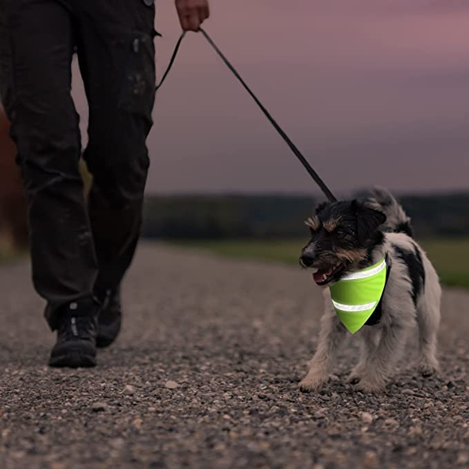 Encell 2-Pack Reflective Dog Collar Scarf - Safety Pet Bandana Triangle Bib for Dogs & Cats, Orange - Perfect for Night Walks & Outdoor Adventures
