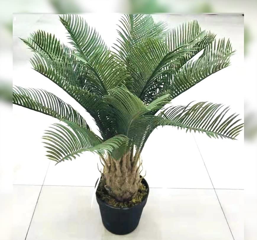 Pair AMERIQUE 3 Feet Cycas Revoluta Sago Palm Tree with Nursery Pot - Real Touch Artificial Plant for Home & Office Decor | Perfect for Living Room, Bedroom, or Office Space