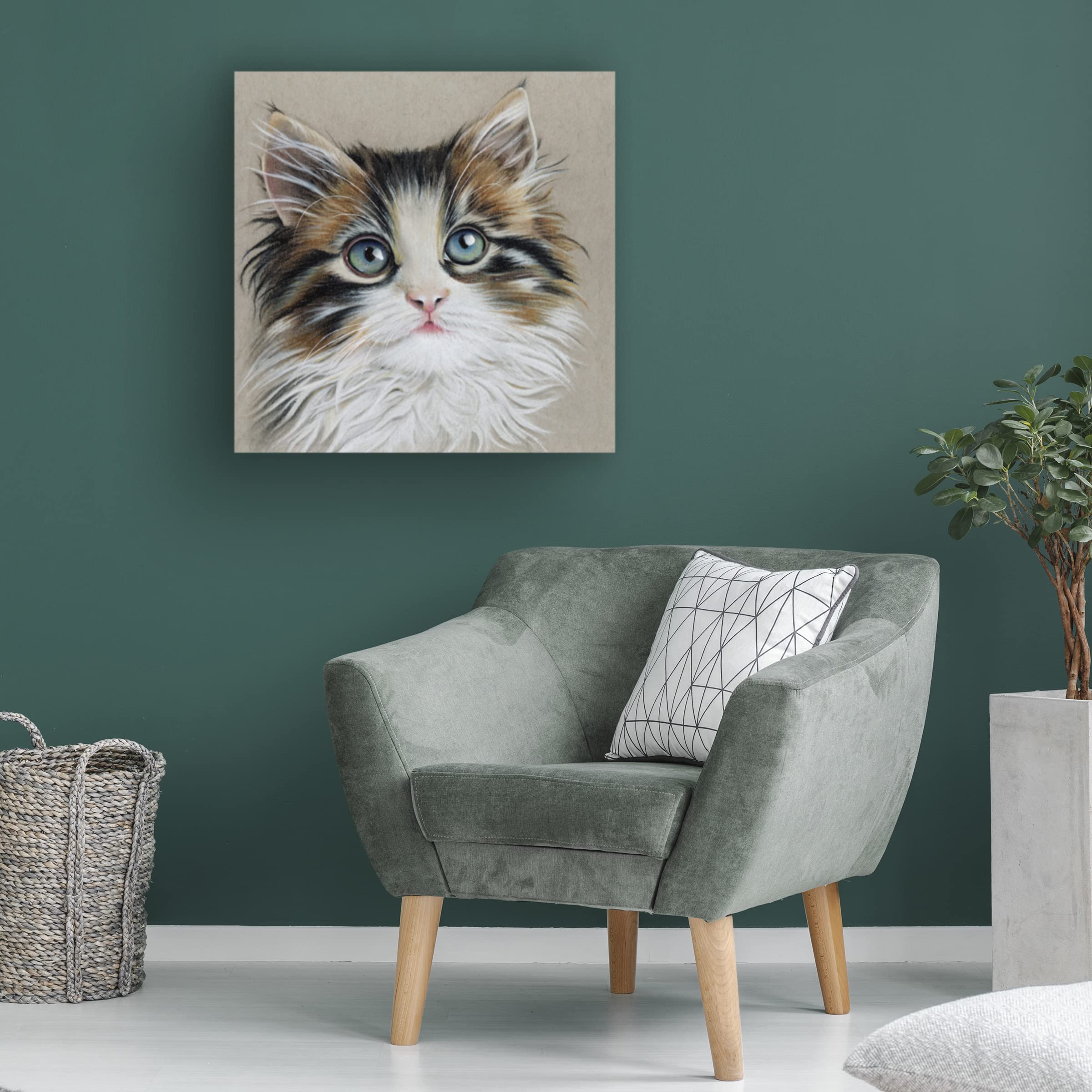 Trademark Fine Art 'Kitten Portrait II' by Lily Liama - Stretched Canvas Wall Art for Living Room, Bedroom & Office Decor