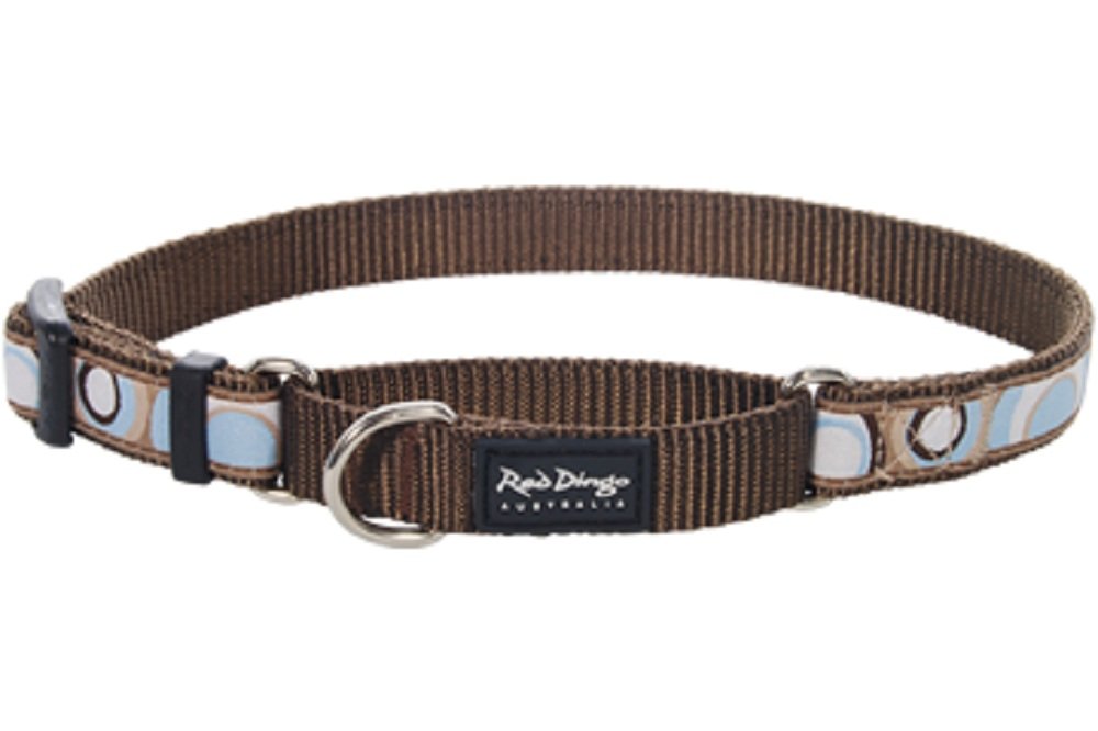 Red Dingo Designer Martingale Dog Collar - Adjustable Medium Size (16-22