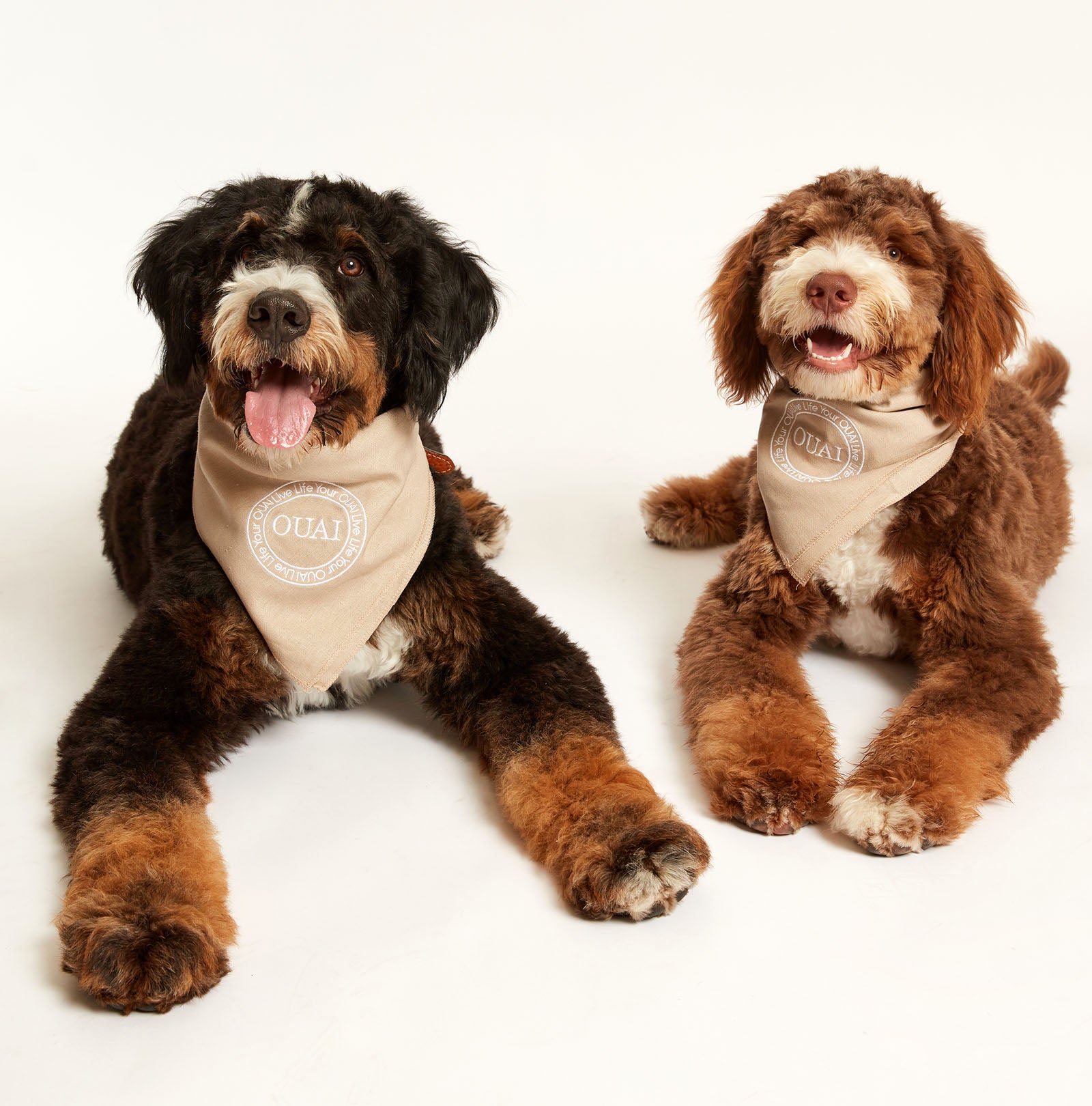 Fur Bébé Bandana - Soft & Stylish Pet Bandana for Dogs & Cats - Perfect for Photos, Parties & Everyday Wear