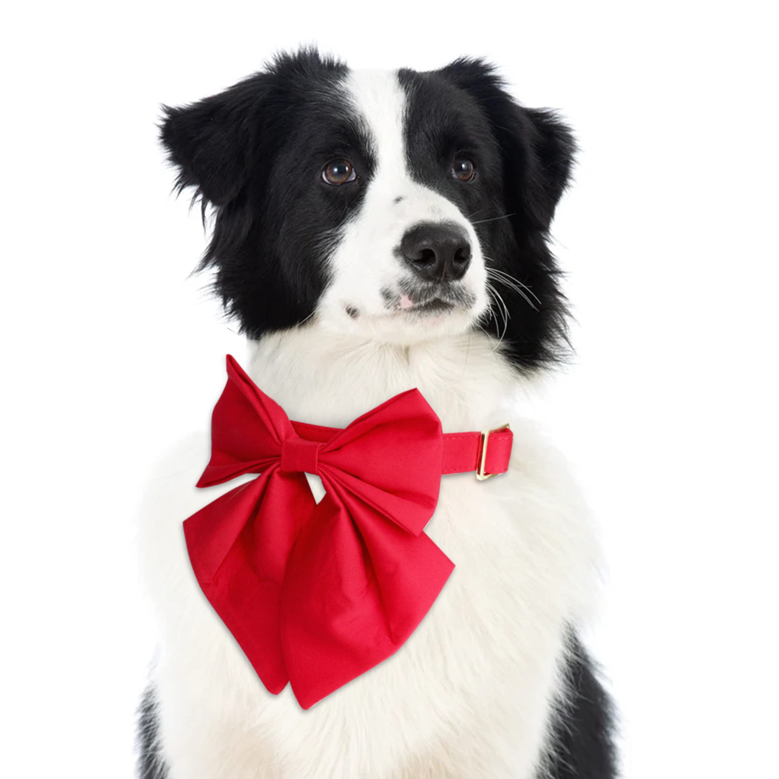 Beirui Personalized Dog Collar with Large Bow - Adjustable Golden Metal Buckle Pet Collar for Small Medium Large Dogs | Soft Durable Wedding & Holiday Bowtie Collar for Special Occasions (Red, Size L)
