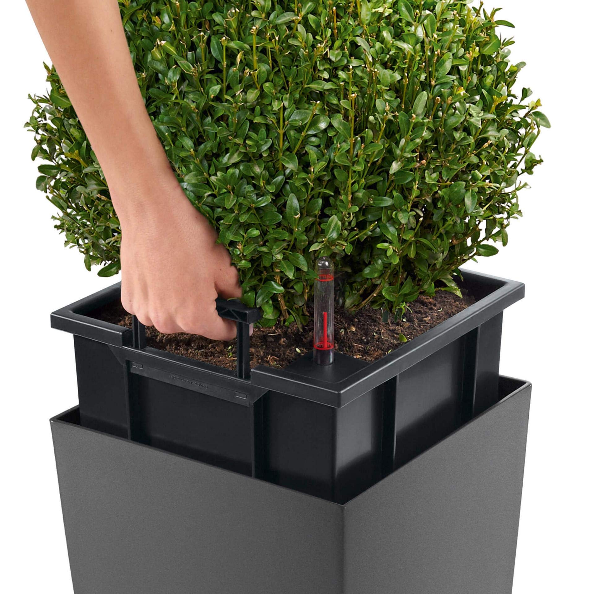 Lechuza CUBICO 30 Self-Watering Planter - 11.8