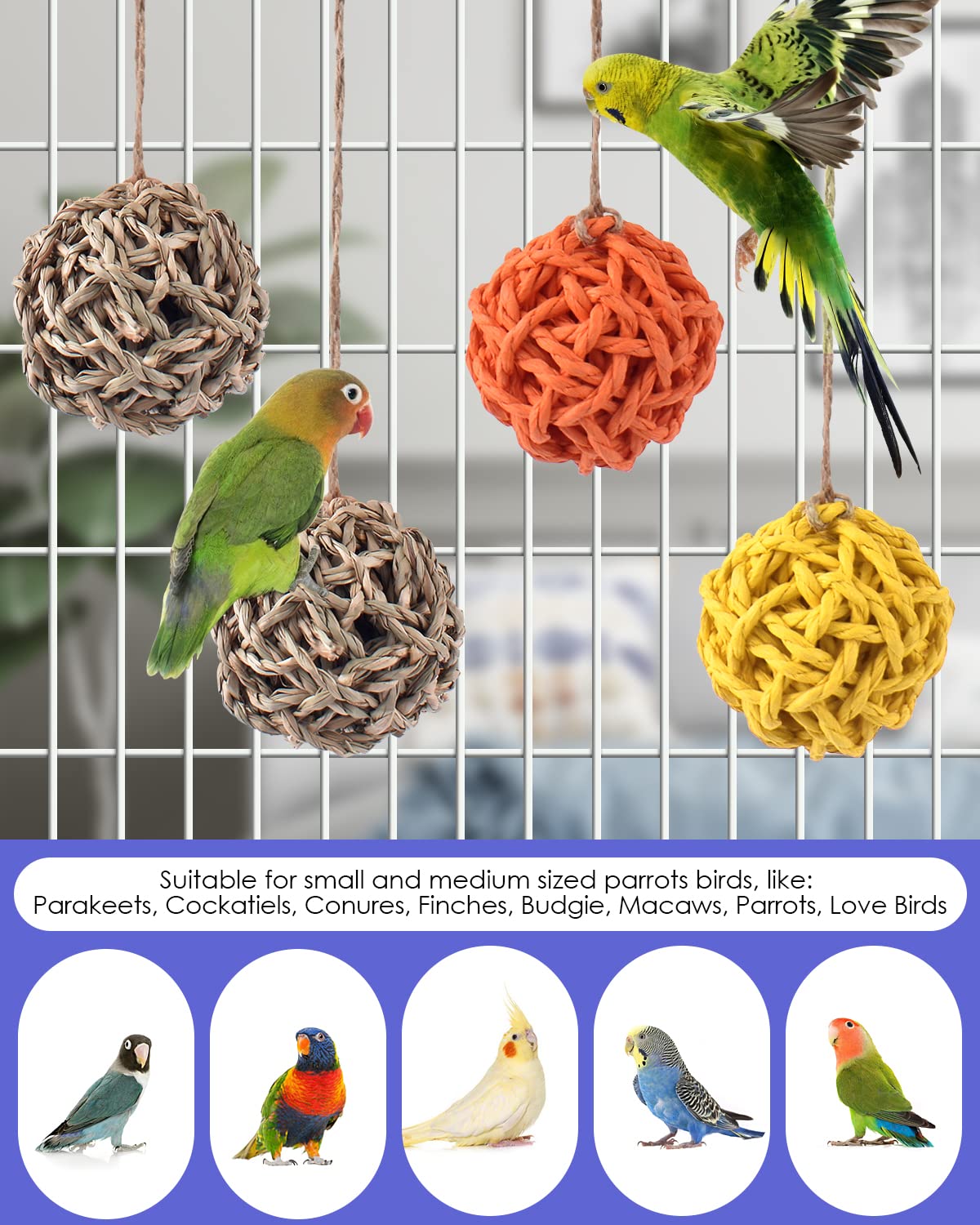 6PCS Small Parrot Chew Toys - Colorful Sola Balls Bird Foraging Toys for Cockatiels, Conures, Cockatoos, Parakeets & Lovebirds | Cage Biting & Chewing Enrichment | Perfect for Mental Stimulation & Beak Exercise