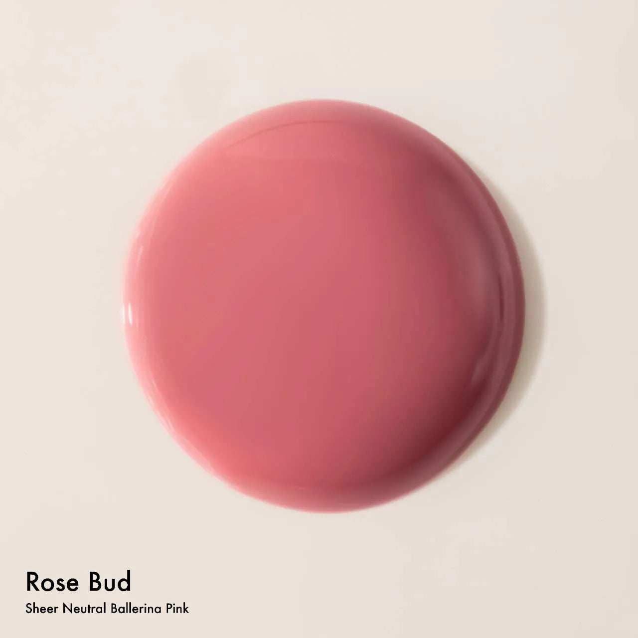 Rose Bud