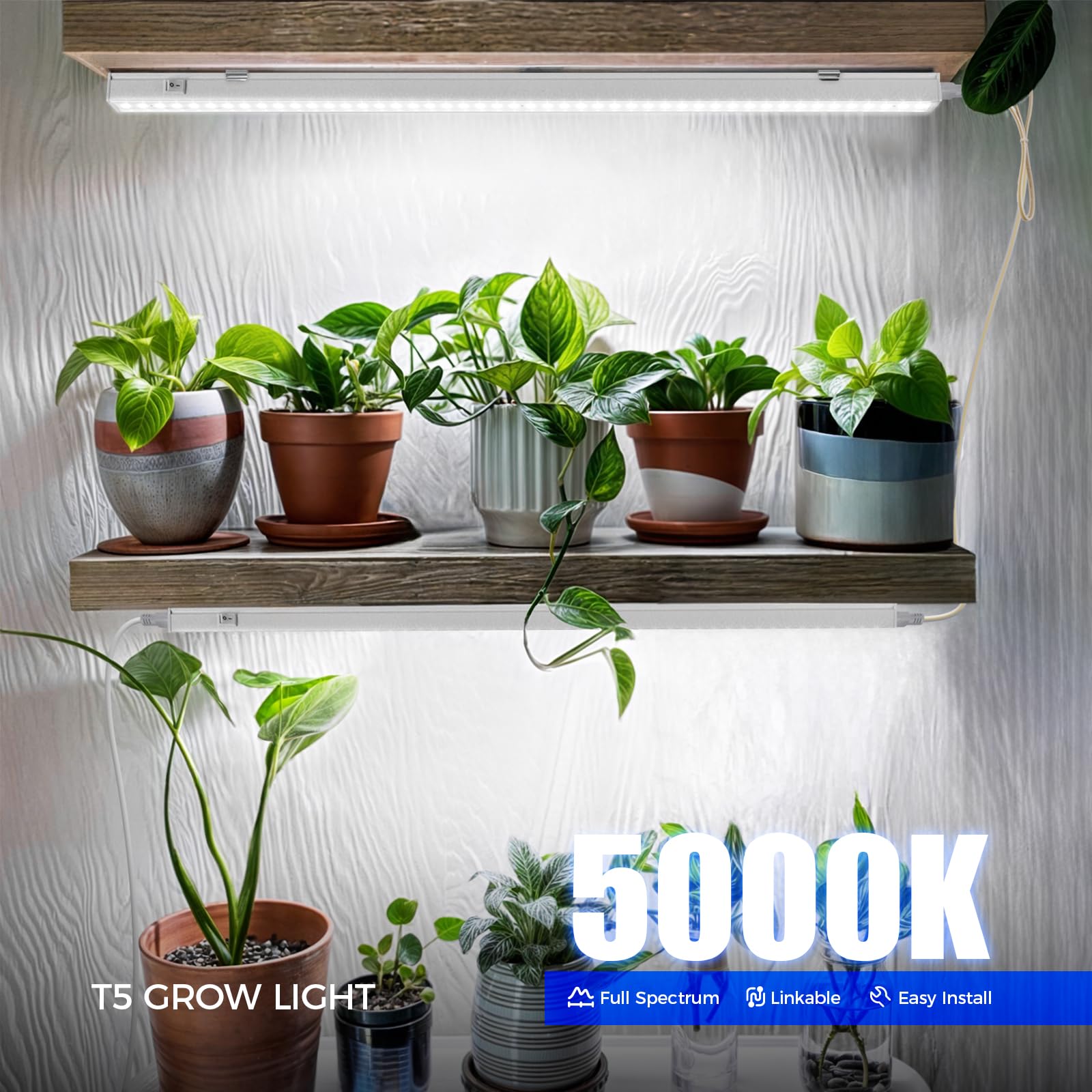 Barrina T5 LED Grow Lights 5000K Full Spectrum - 2ft 80W (8 Pack) for Indoor Plants, Hydroponics, Greenhouse & Seed Starting - Energy Efficient Plant Growing Bulbs Equivalent to 500W - Plug & Play Installation