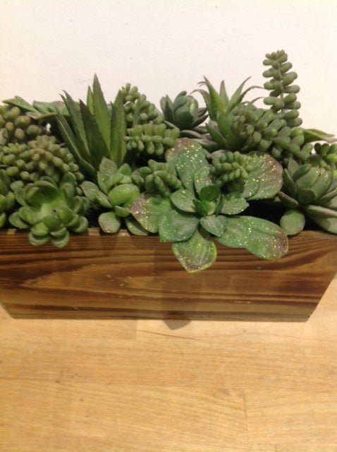 10 Live Succulent Plants in Wooden Gift Box - Perfect for Home Decor, Office Desk, and Indoor Gardening Gifts