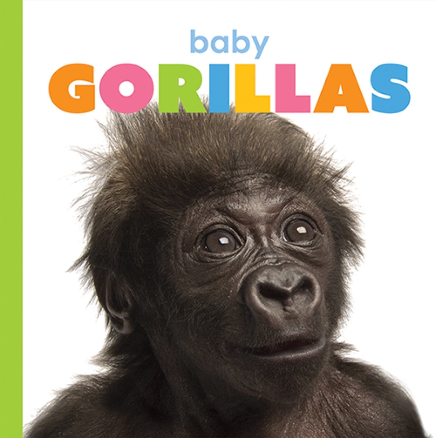 Baby Gorillas Book - ISBN 978-1-64026-248-5 | Wildlife Education for Kids, Perfect for Classroom & Homeschool Learning