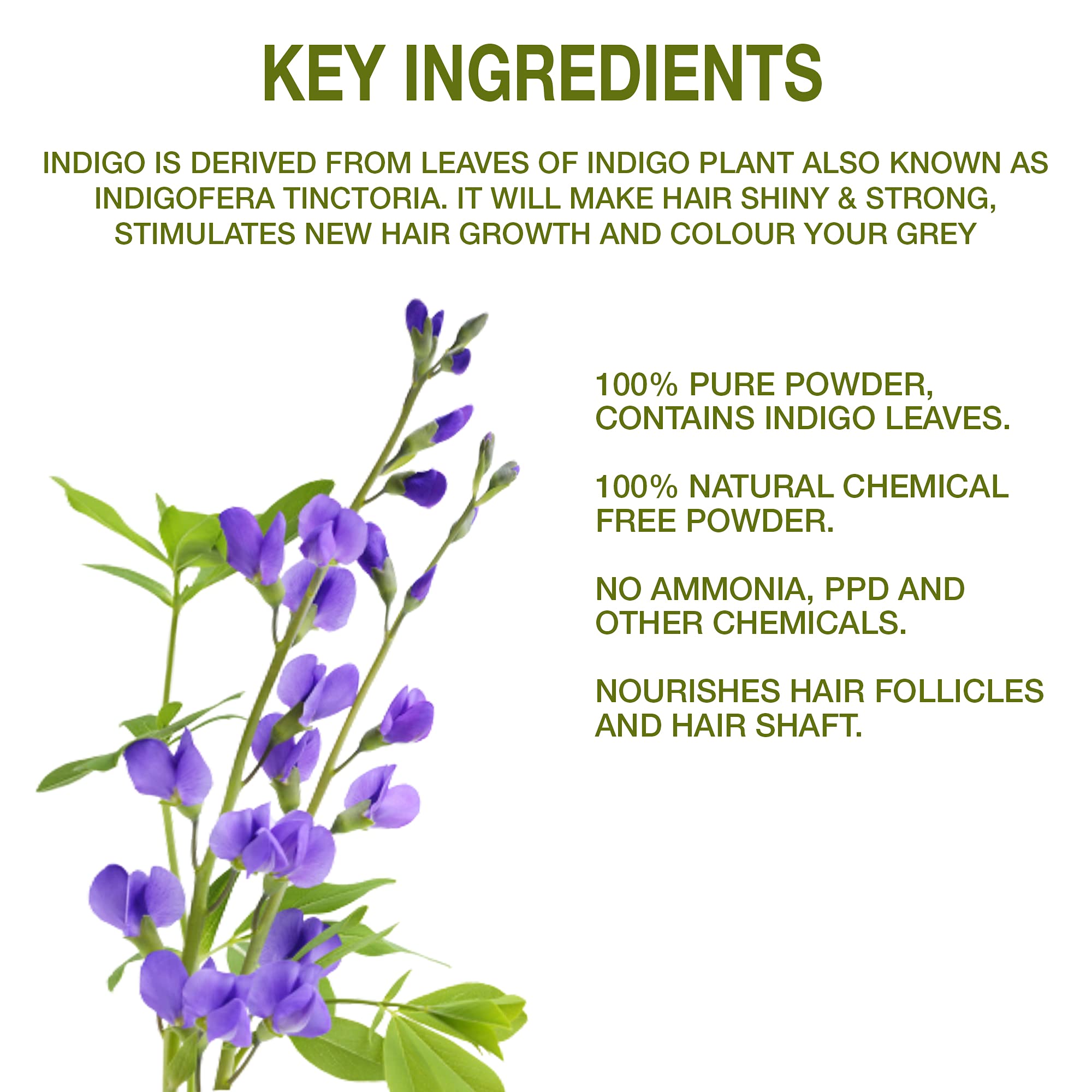 Organic Indian Indigo Powder for Hair Growth & Care - 100% Natural, Chemical-Free (100g) | Promotes Healthy Hair, Covers Grays & Enhances Shine - Perfect for DIY Hair Masks & Natural Hair Dye