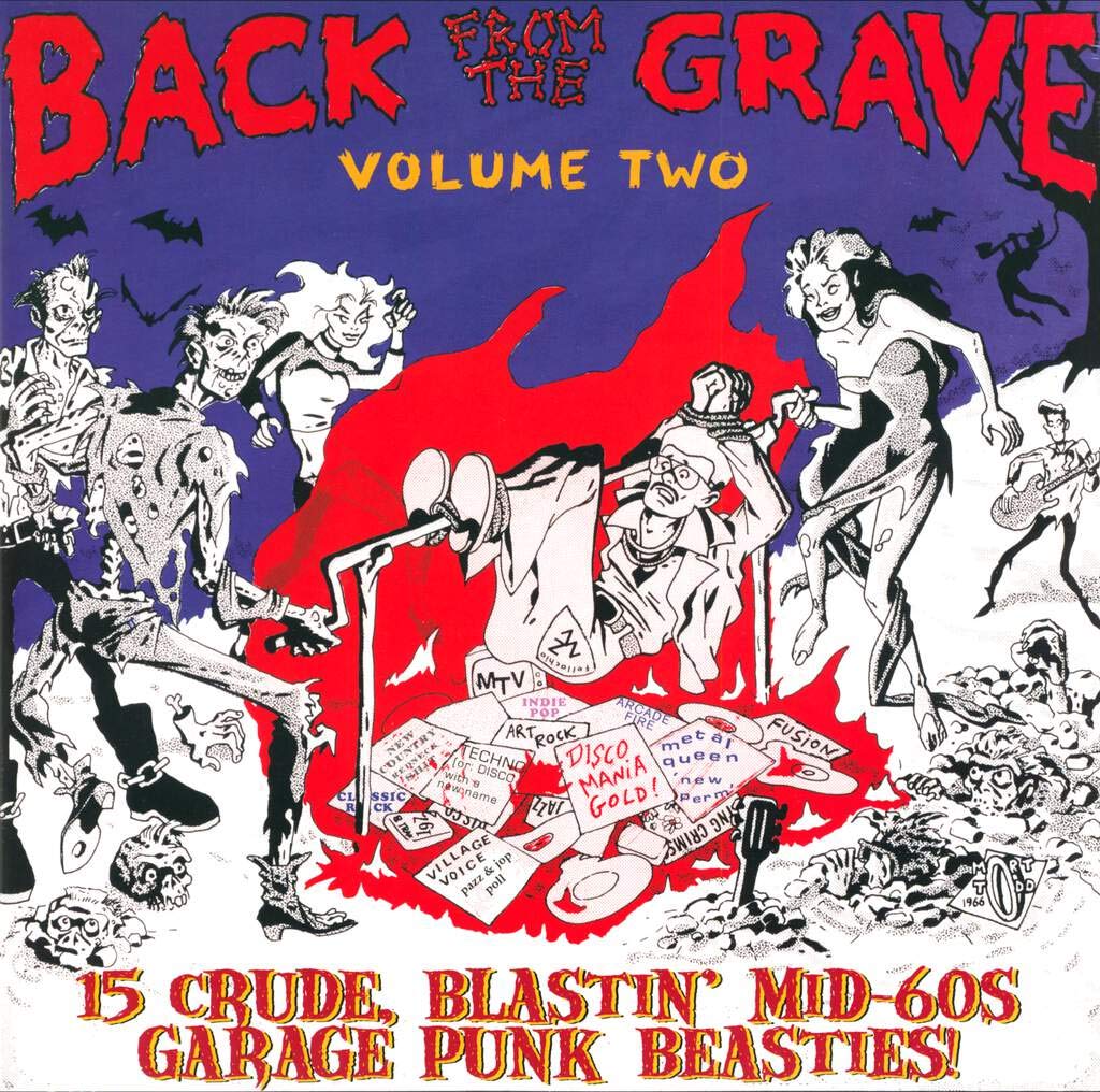 Back From The Grave, Vol. 2 - Rare 60s Garage Rock Revival Vinyl Record | Perfect for Collectors & Retro Music Lovers | Great for Parties, Gifts & Vintage Music Collections