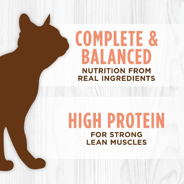 Instinct Original Real Salmon Recipe Canned Cat Food - Grain Free, High Protein Wet Cat Food for Adult Cats - Perfect for Mealtime, Travel & Emergency Kits