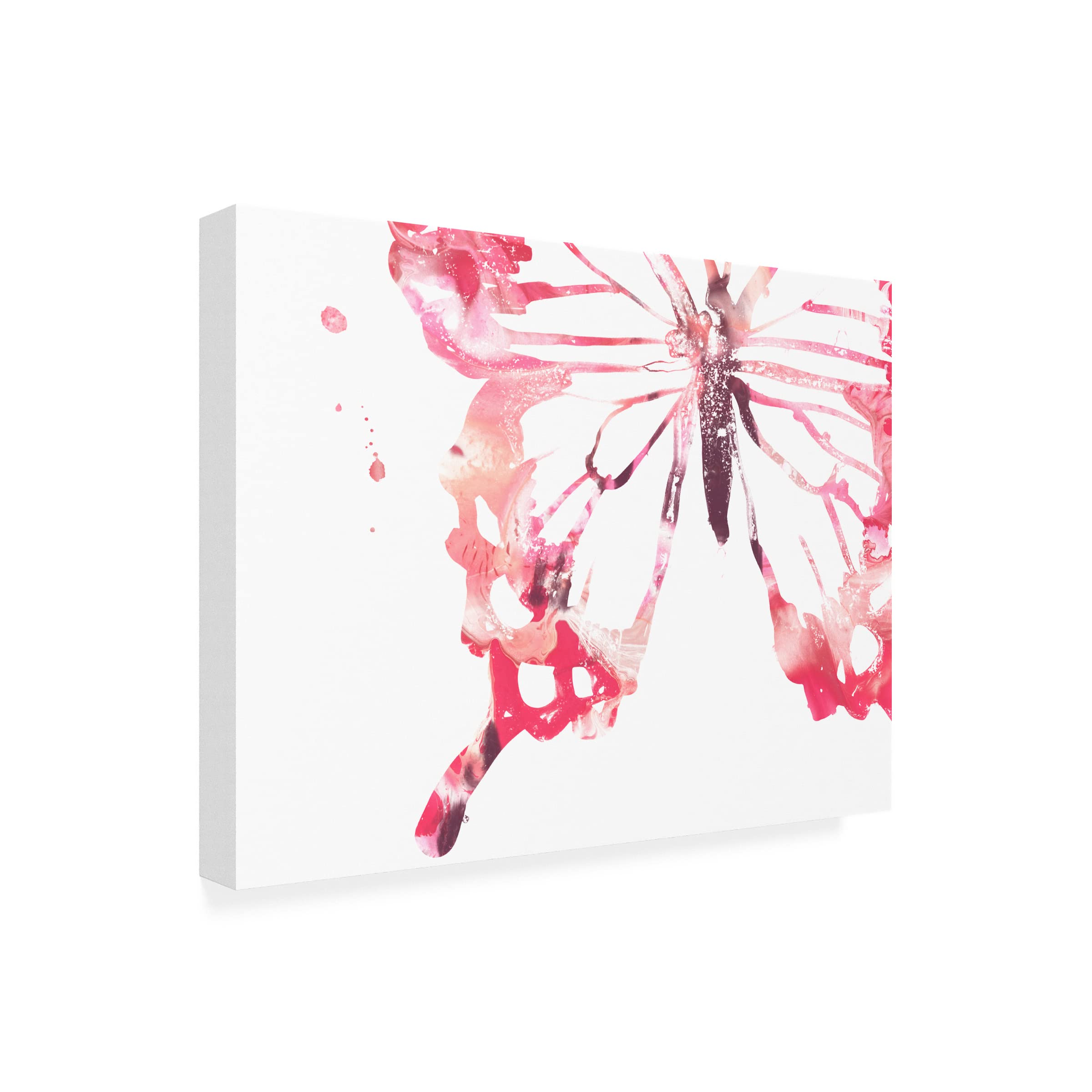 Trademark Fine Art 'Butterfly Imprint IV' Canvas Wall Art by June Erica Vess - Modern Home Decor for Living Room, Bedroom & Office