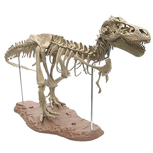 KODENG 4D Animal Model Toy - Large Dinosaur Fossil Tyrannosaurus Rex Skeleton Assembly Kit for Kids & Adults - STEM Educational Science Project, Home Decoration, Birthday Gift for Dinosaur Lovers