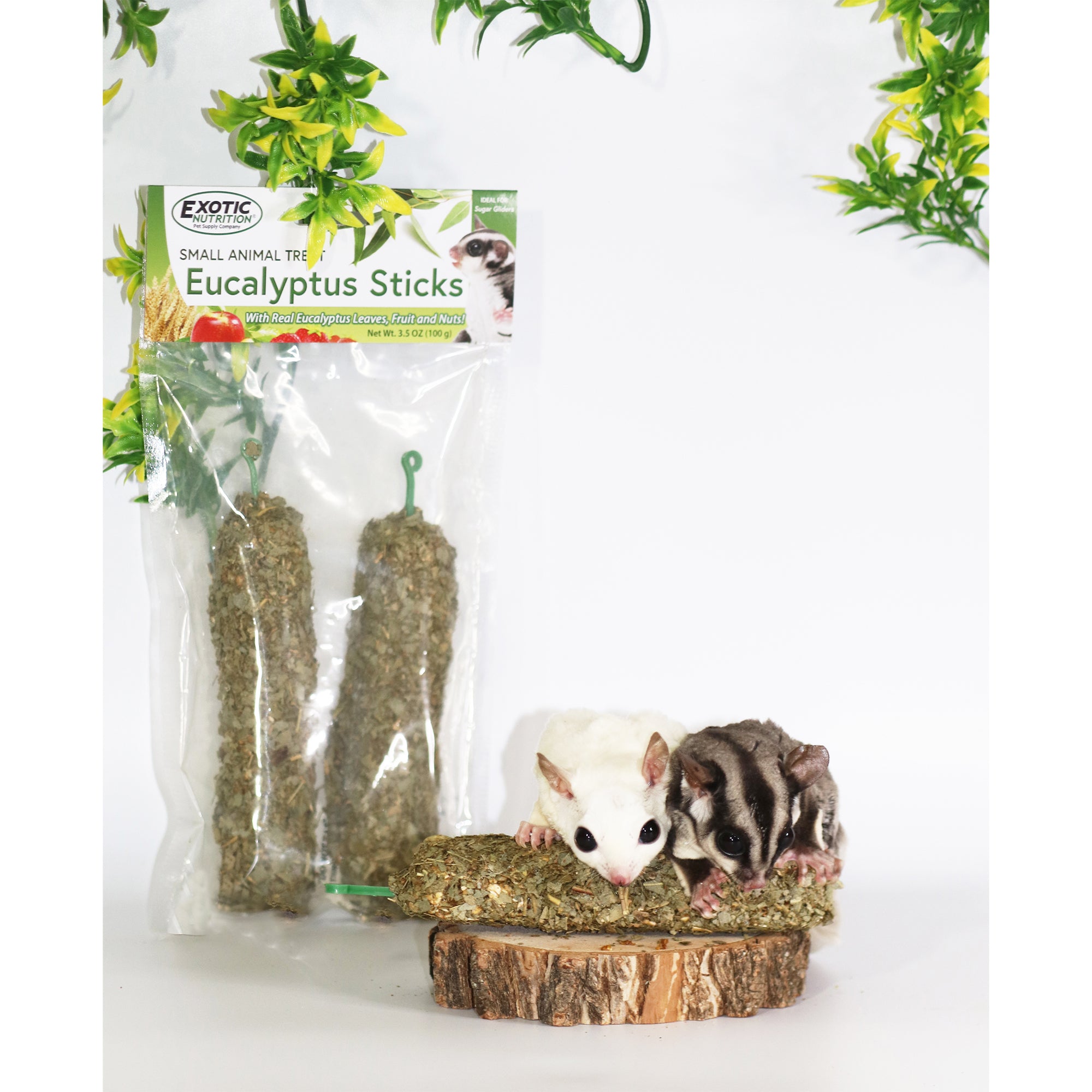 Natural Eucalyptus Sticks for Aromatherapy, Home Decor & DIY Crafts - Relaxing Spa, Bath & Shower Use