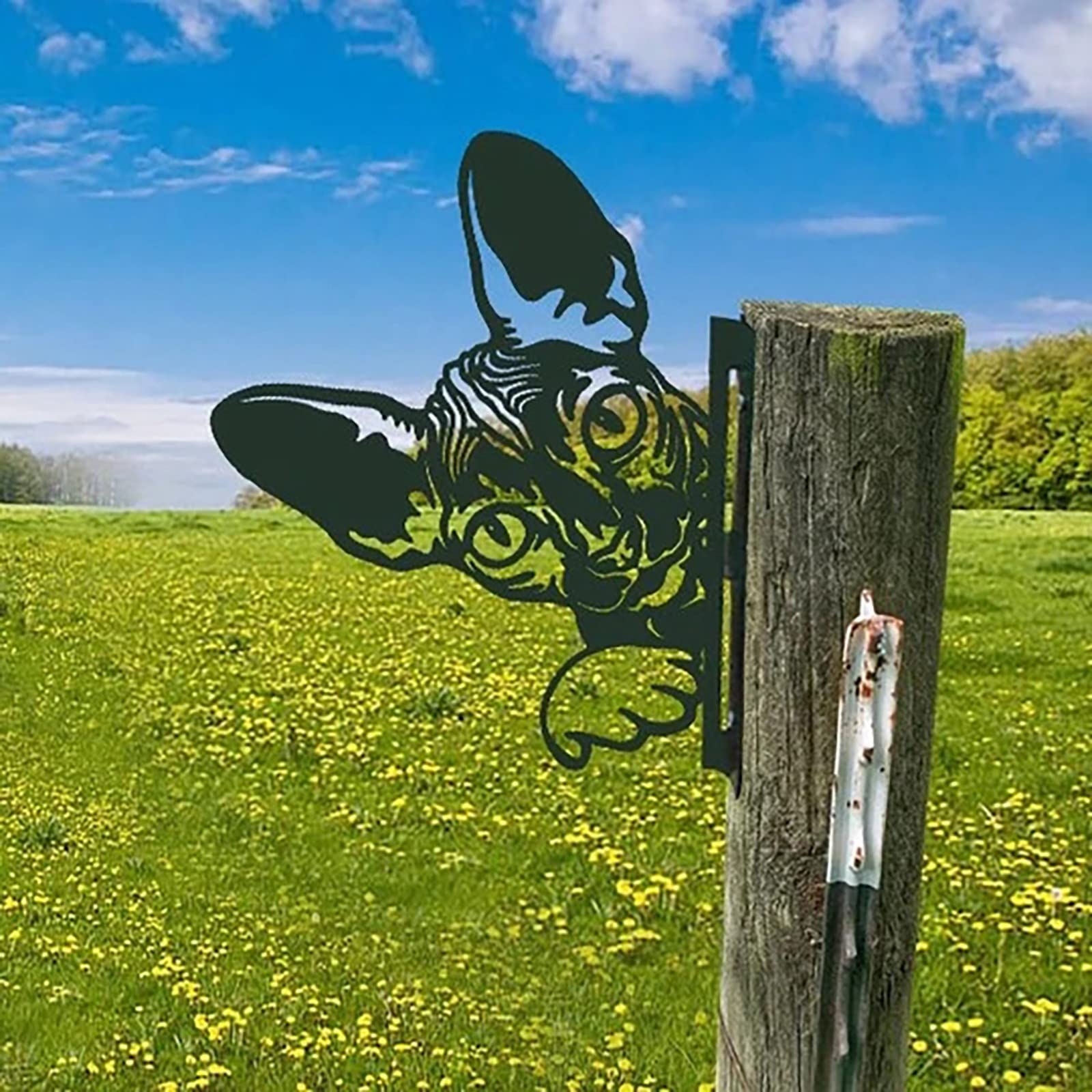 Boddenly Metal Peeping Cat Wall Art - Outdoor Garden Fence Decor, Farmhouse Lawn Ornament - Rustic Animal Wall Sculpture for Yard, Patio & Farm Decoration | Perfect for Country Homes, Backyard Landscaping & Outdoor Theming