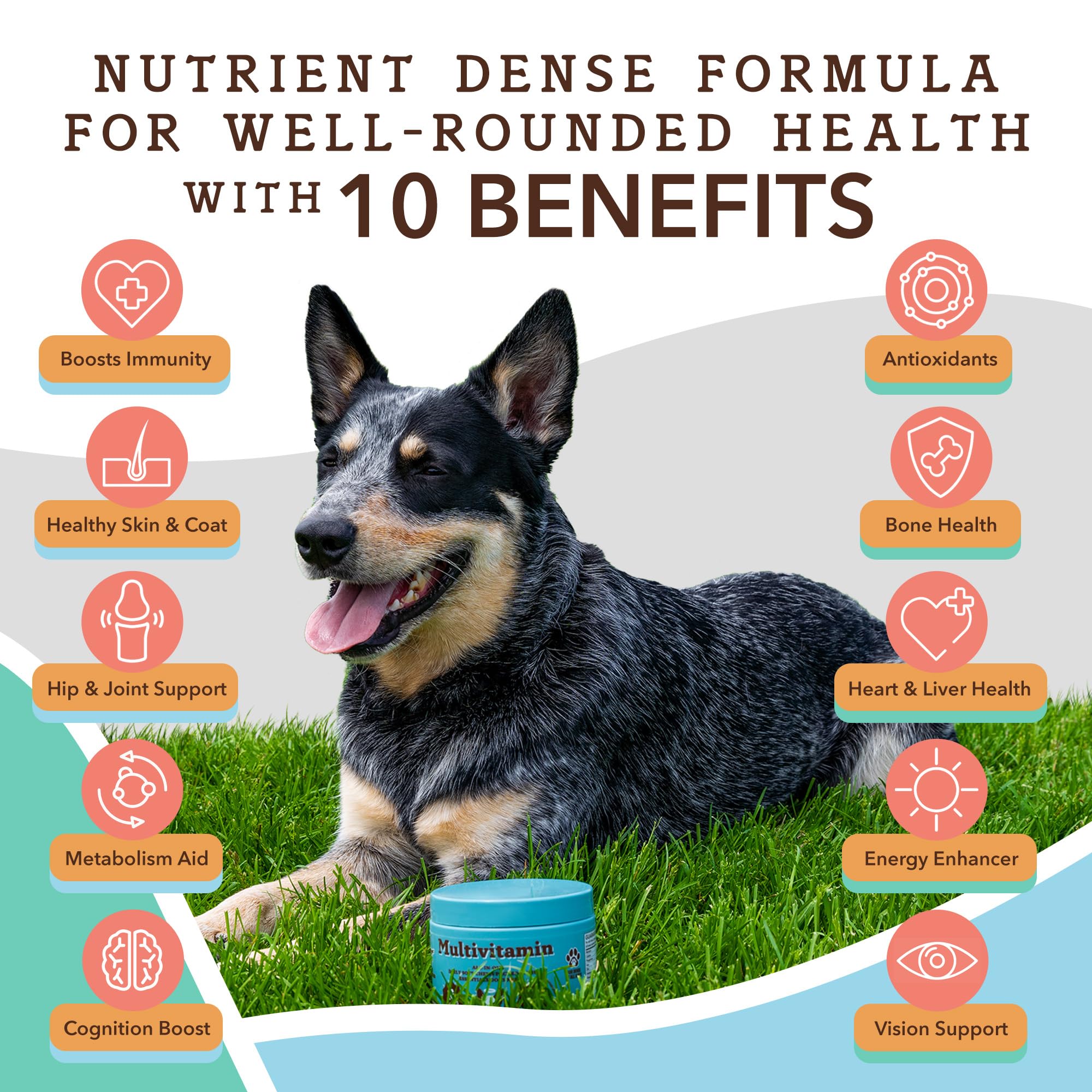 Natural Dog Company Multivitamin Chews (90 Count) - Peanut Butter & Bacon Flavor Dog Vitamins for All Ages & Breeds - Immune Support & Antioxidant Supplement - Perfect for Daily Health Maintenance & Active Dogs