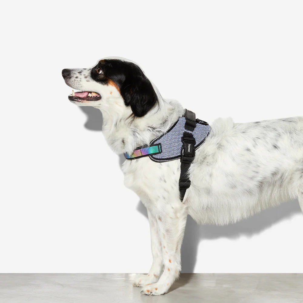 Zee.Dog FlyHarness - Adjustable Dog Harness for Urban Adventures, Walking & Outdoor Activities | Comfortable & Secure Pet Harness for Small, Medium & Large Dogs