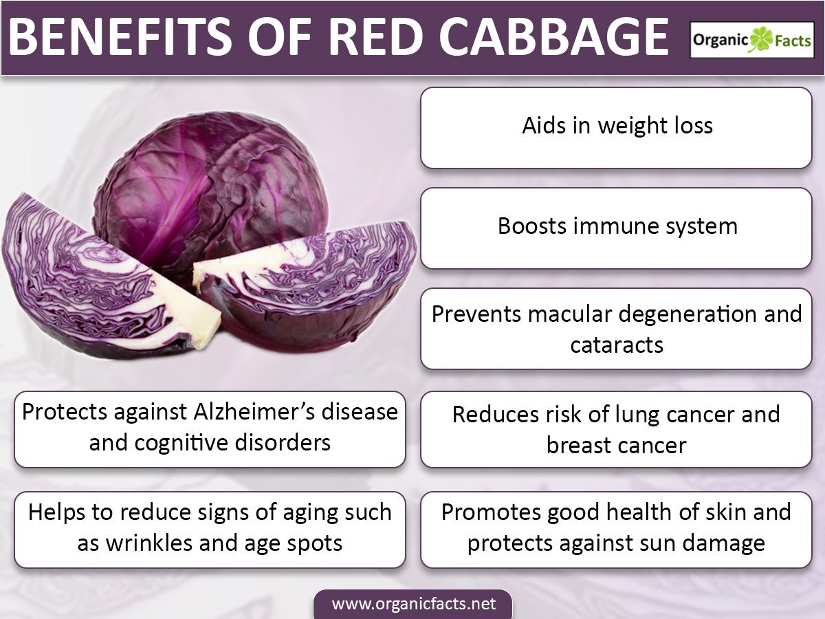 Red Acre Cabbage Seeds for Planting - Non-GMO, Heirloom Variety - $3.50 | Perfect for Home Gardens, Vegetable Patches & Organic Farming