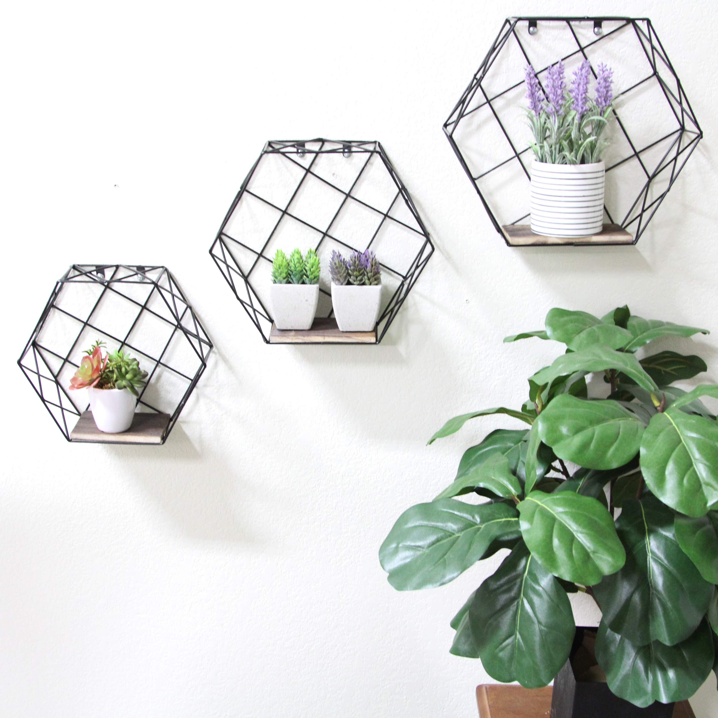 Admired by Nature 3-Piece Hexagon Floating Shelves Set - Matte Black Geometric Wall Shelves for Home Decor, Wall Storage & Display | Perfect for Living Room, Bedroom, Bathroom & Office Organization