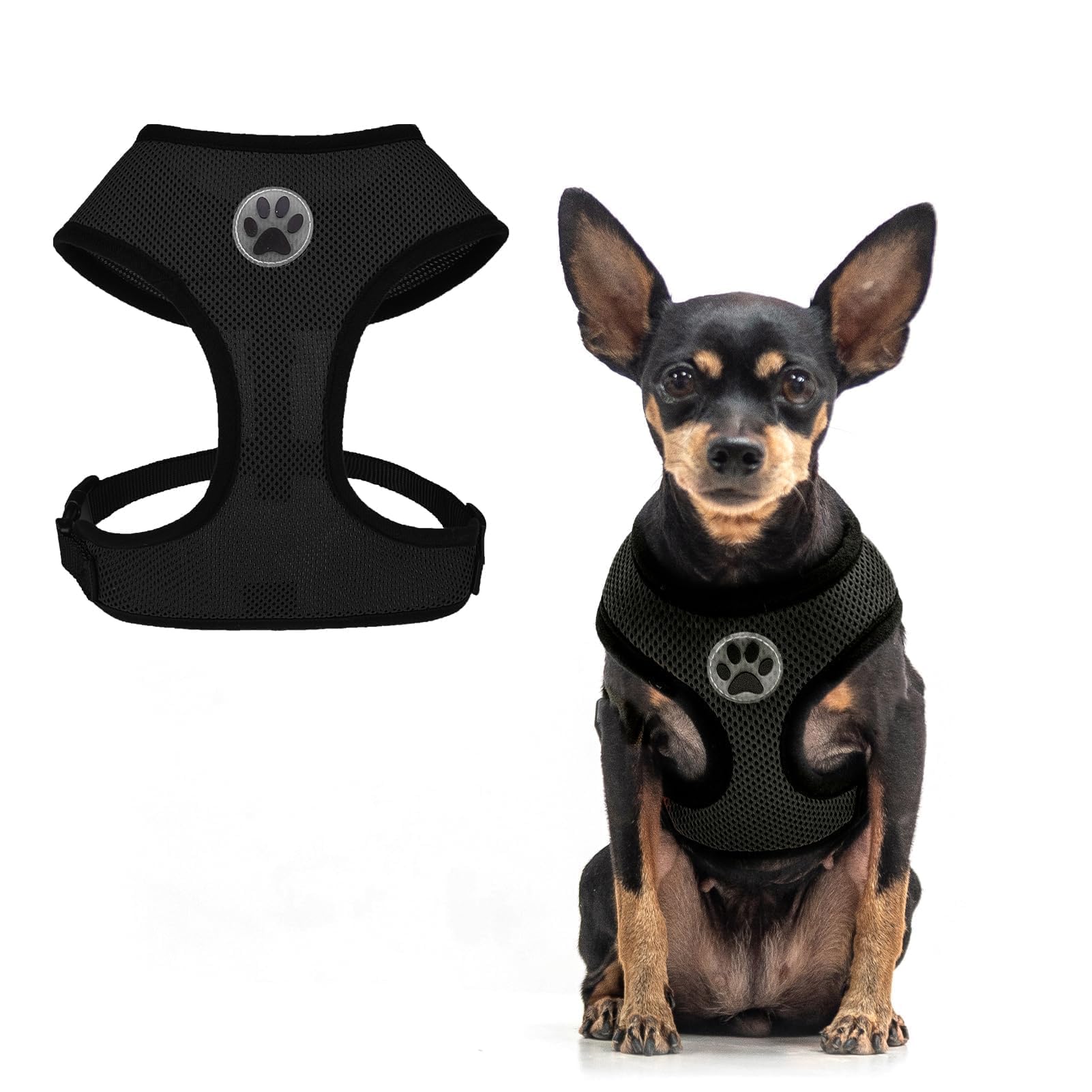 BINGPET Small Dog Harness - No Pull Adjustable Mesh Puppy Vest for Small & Medium Dogs - Perfect for Walking, Training & Outdoor Adventures