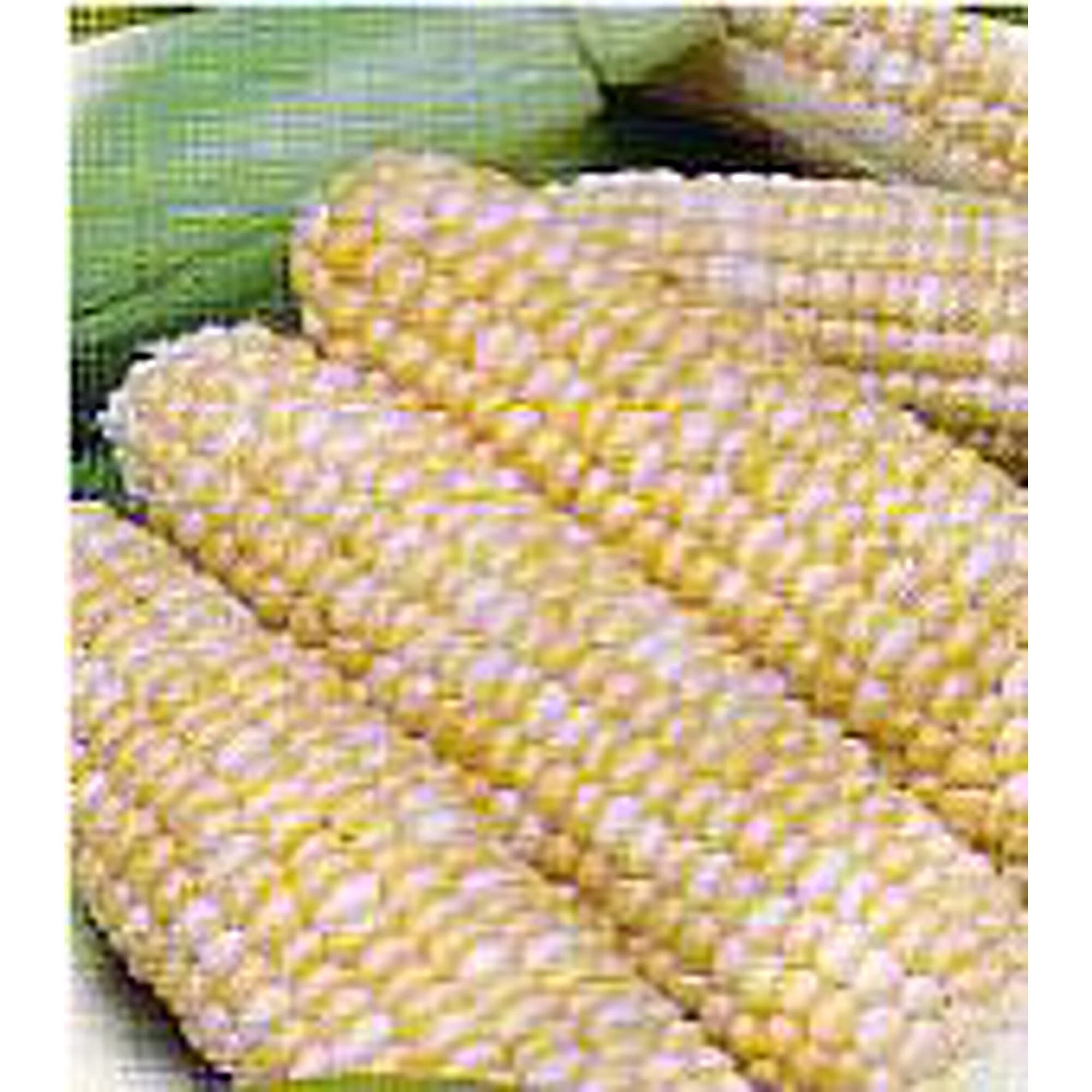 Non-GMO Peaches and Cream Corn Seeds (20+ Seeds) - Sweet, Tender Hybrid for Home Garden, Greenhouse & Backyard Planting | Perfect for Fresh Eating, Canning & Grilling