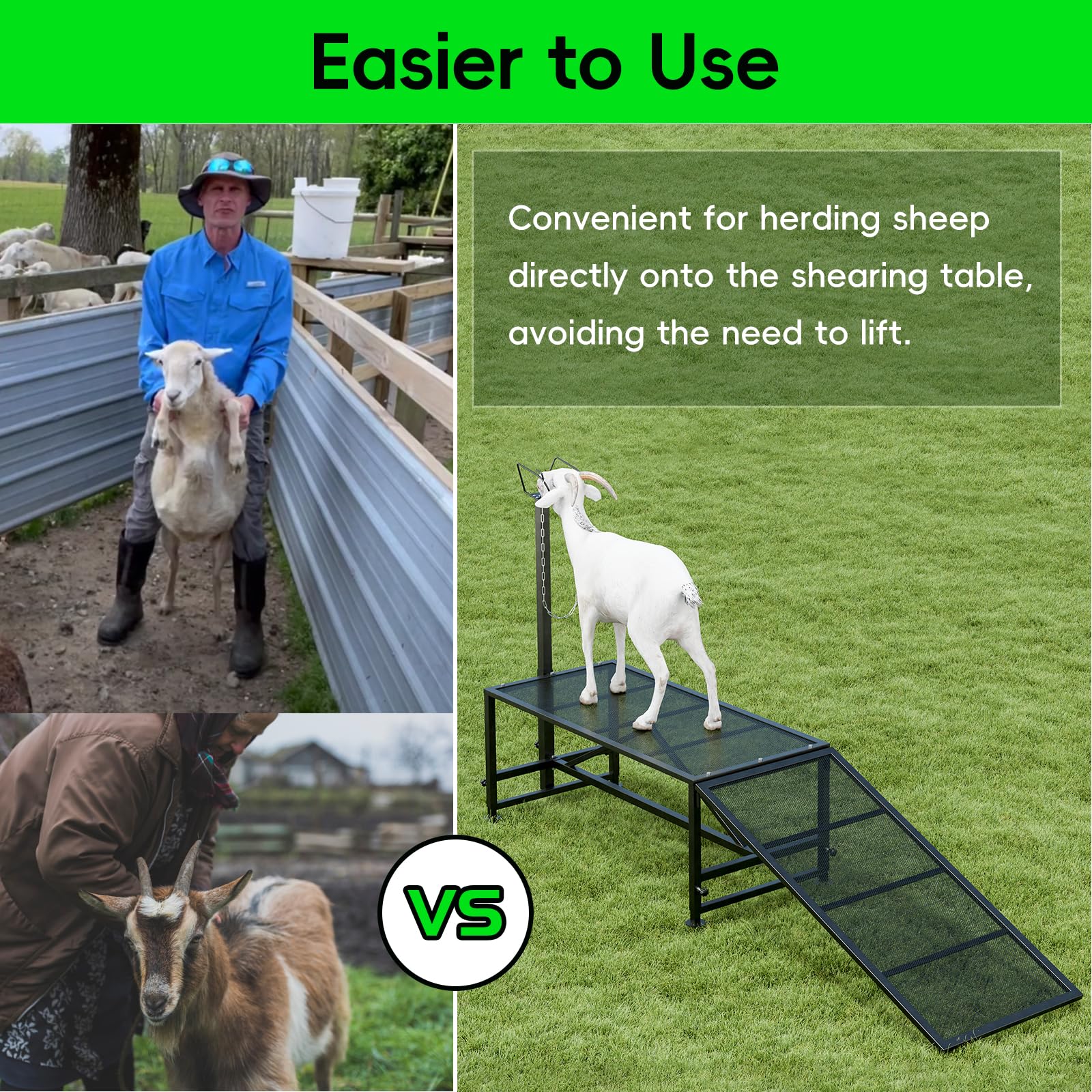 Adjustable Metal Livestock Stand for Sheep & Goat Milking with Ramp - Heavy Duty Hoof Trimming Stand with Secure Headpiece - Perfect for Farm Animal Grooming, Veterinary Care & Dairy Operations