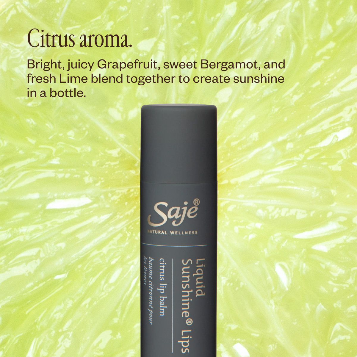 Nourishing Lip Balm Trio Set - Hydrating & Moisturizing Lip Care for Dry Lips - Perfect for Daily Use, Travel & Gifting
