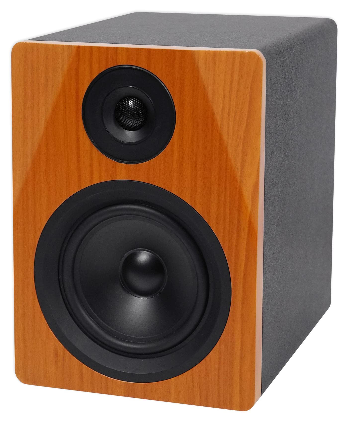 Rockville DPM5C Dual Powered 5.25