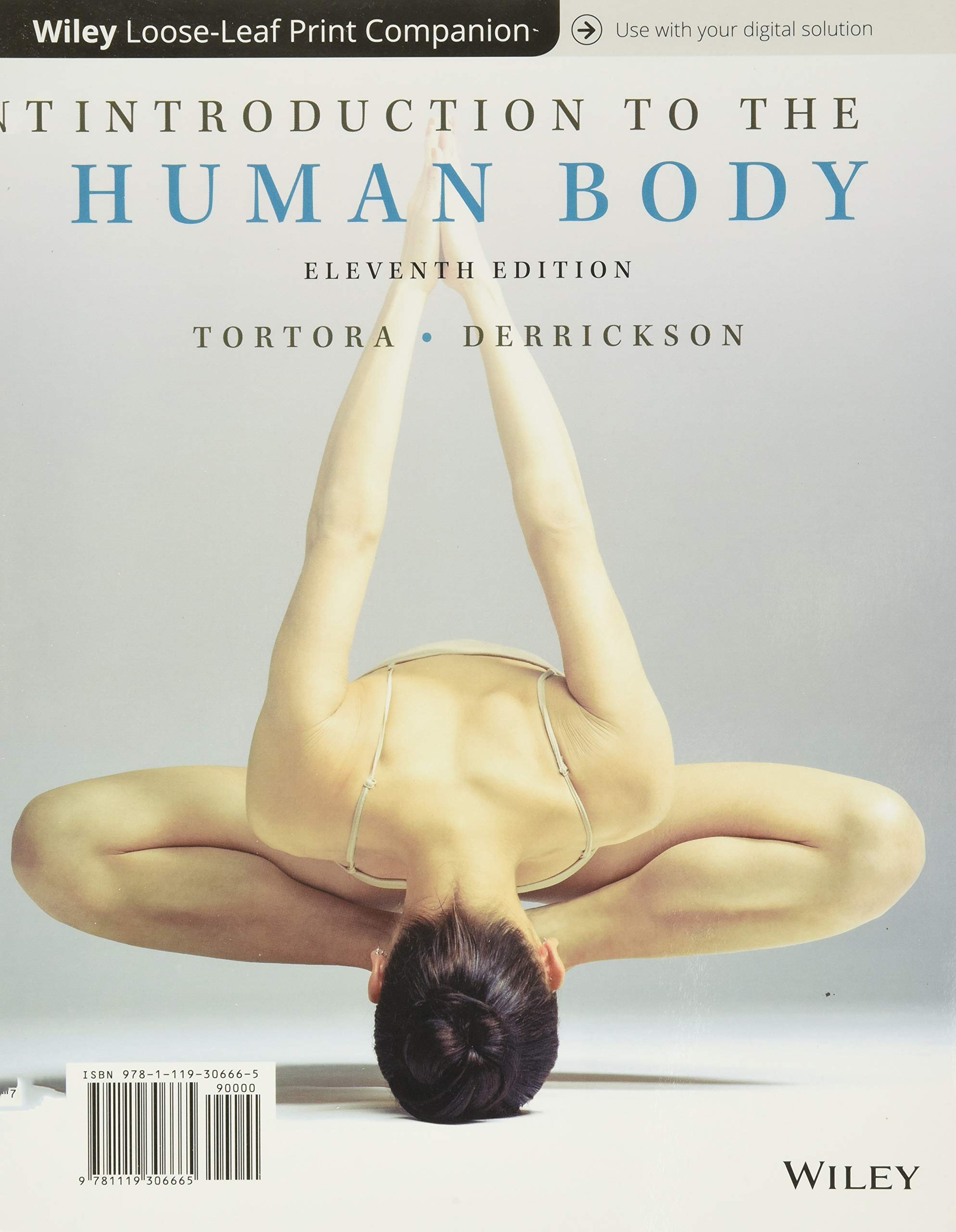 Comprehensive Guide to Human Anatomy & Physiology - Essential Study for Students, Healthcare Professionals & Fitness Enthusiasts | Perfect for Medical Education, Nursing School & Personal Health Knowledge