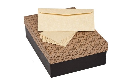 Premium Mohawk Skytone Vellum Parchment Envelopes - 4 ¼ x 9 ½ inches - 500 Pack (89 GSM) - Elegant Vellum Finish for Business Mail, Wedding Invitations, Certificates & Formal Announcements - Perfect for Special Occasions & Professional Correspondence