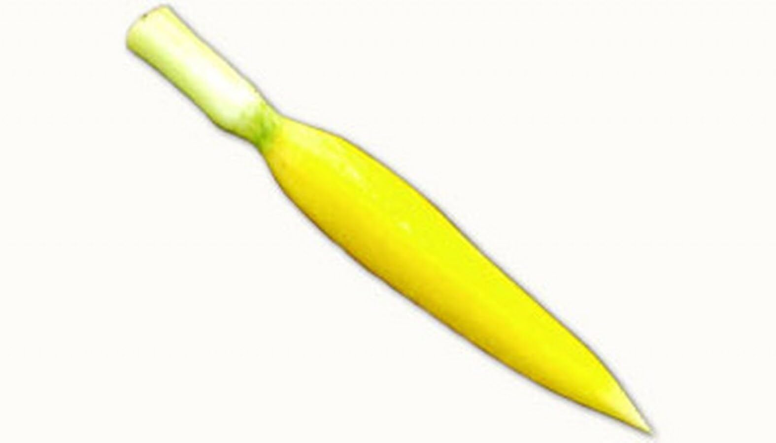 Fresh Yellow Baby Carrots - 10 Lb Bulk Case | Premium Gourmet Carrots for Chefs & Cooking Enthusiasts | Perfect for Salads, Roasting & Healthy Snacks