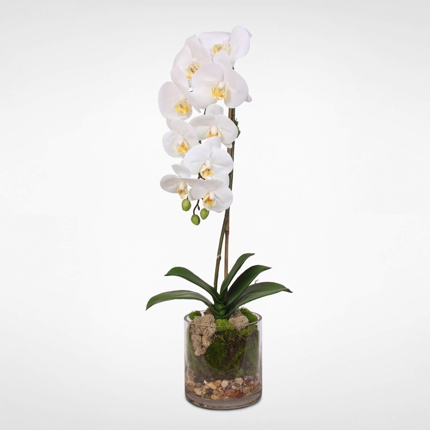 Premium Real Touch White Phalaenopsis Orchid in Glass Vase - Lifelike Artificial Flower Arrangement for Home Decor, Wedding Centerpieces & Office Elegance