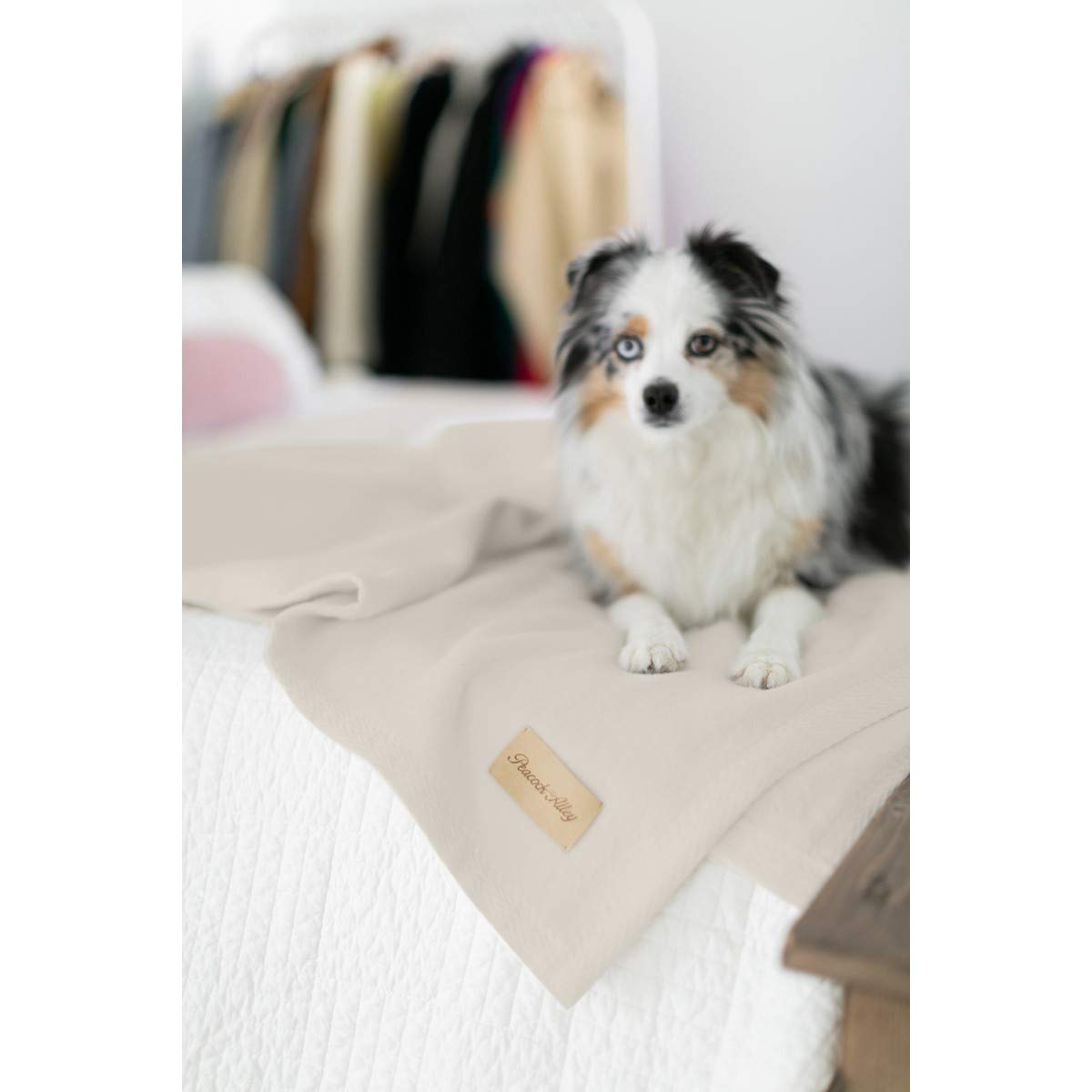 Peacock Alley All Seasons Luxury 100% Long Staple Cotton Blanket - Soft & Breathable Twin/Twin XL Blanket for Bed, Sofa & Crib - Perfect for Home, Nursery & Travel - Flint Color