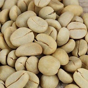 Dwarf Coffee Plant Seeds (Coffea Arabica Nana) - 5 Pack for Home Gardening, Indoor Planting & Future Storage - Perfect for DIY Coffee Growers & Plant Enthusiasts