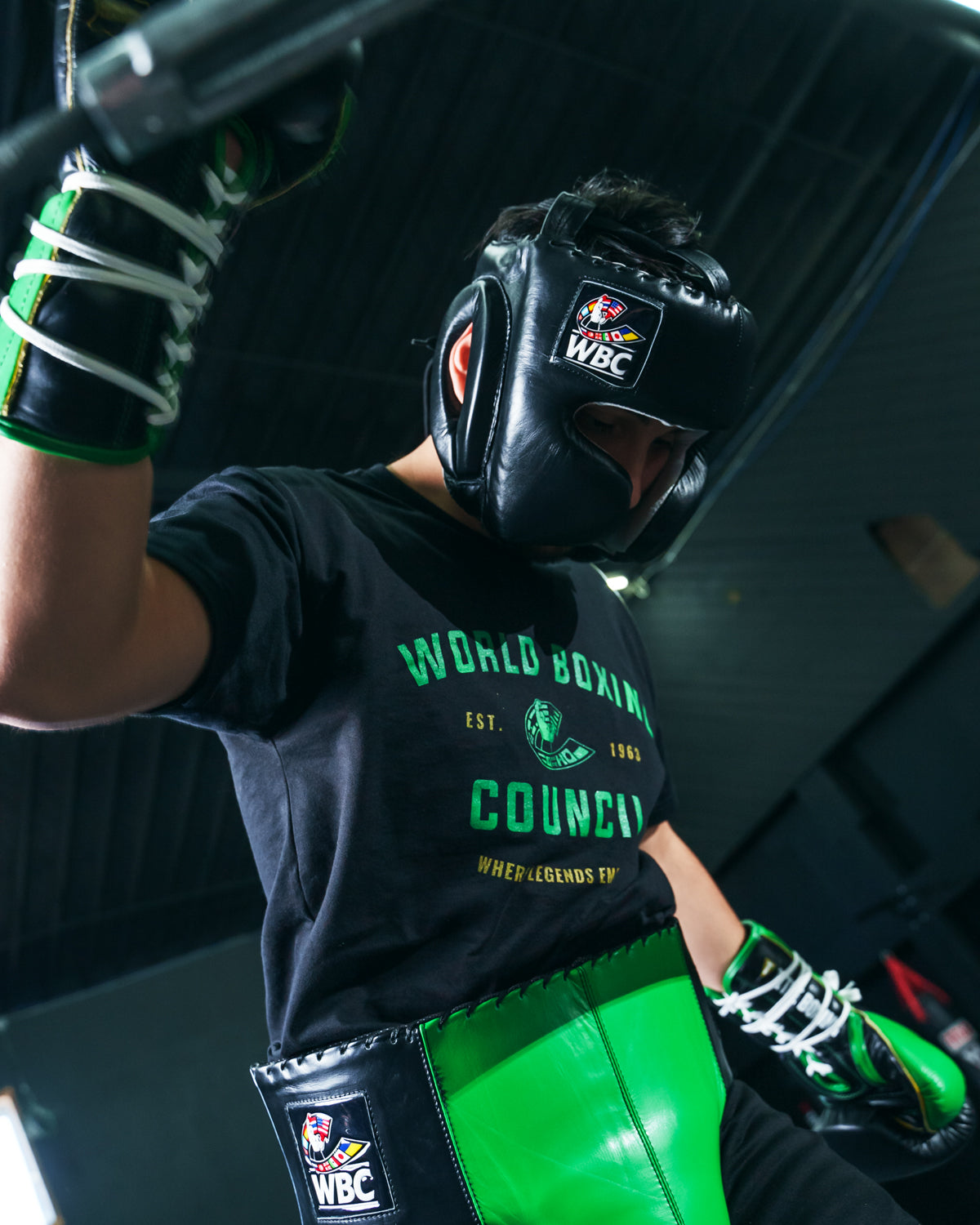WBC by TITLE Boxing Sparring Headgear - Premium Boxing Head Protection for Training & Competition - Perfect for MMA, Kickboxing, and Martial Arts Practice