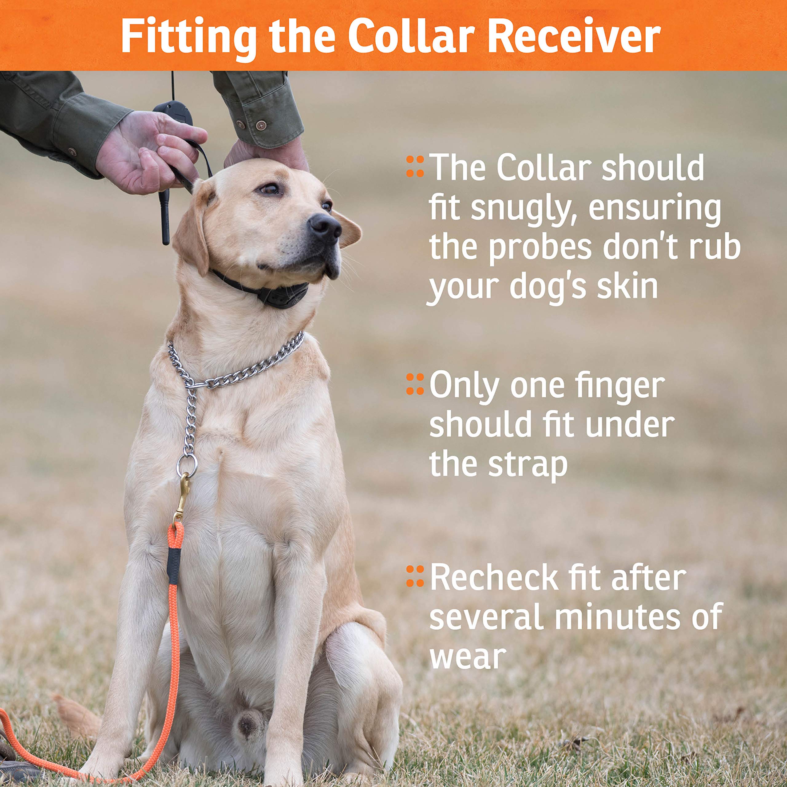 SportDOG Brand SportTrainer 1275 Remote Dog Training Collar - 3/4 Mile Range, Waterproof & Rechargeable with Tone, Vibration & Static - Bright OLED Screen for Easy Reading - Perfect for Obedience Training, Hunting & Outdoor Adventures (Black)