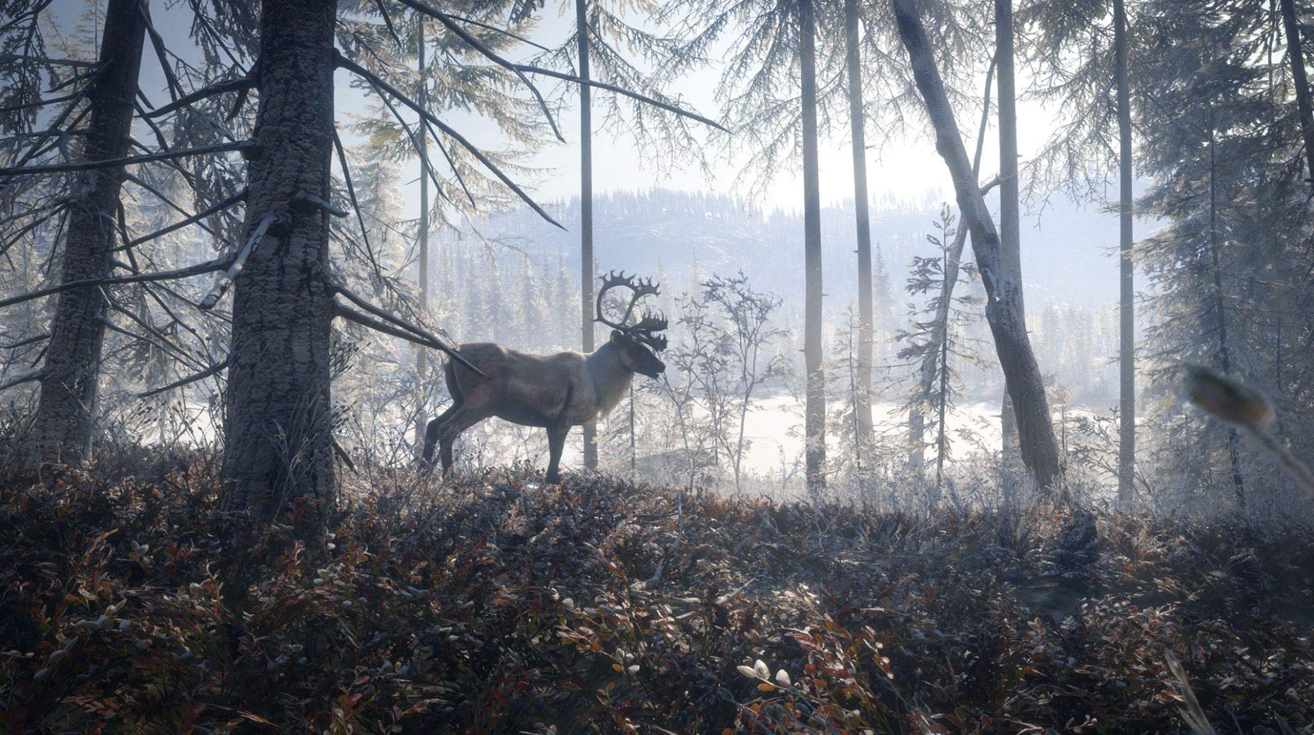 TheHunter: Call of the Wild - 2019 Edition (Renewed) for Xbox One | Open World Hunting Simulation Game | Perfect for Outdoor Enthusiasts & Nature Lovers