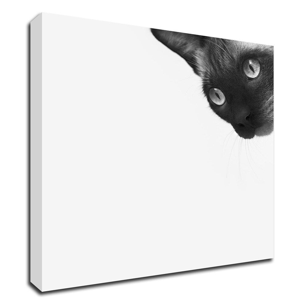 Be Brave by Jon Bertelli - Inspirational Canvas Wall Art Print, Ready to Hang - Perfect for Home Office, Living Room & Bedroom Decor