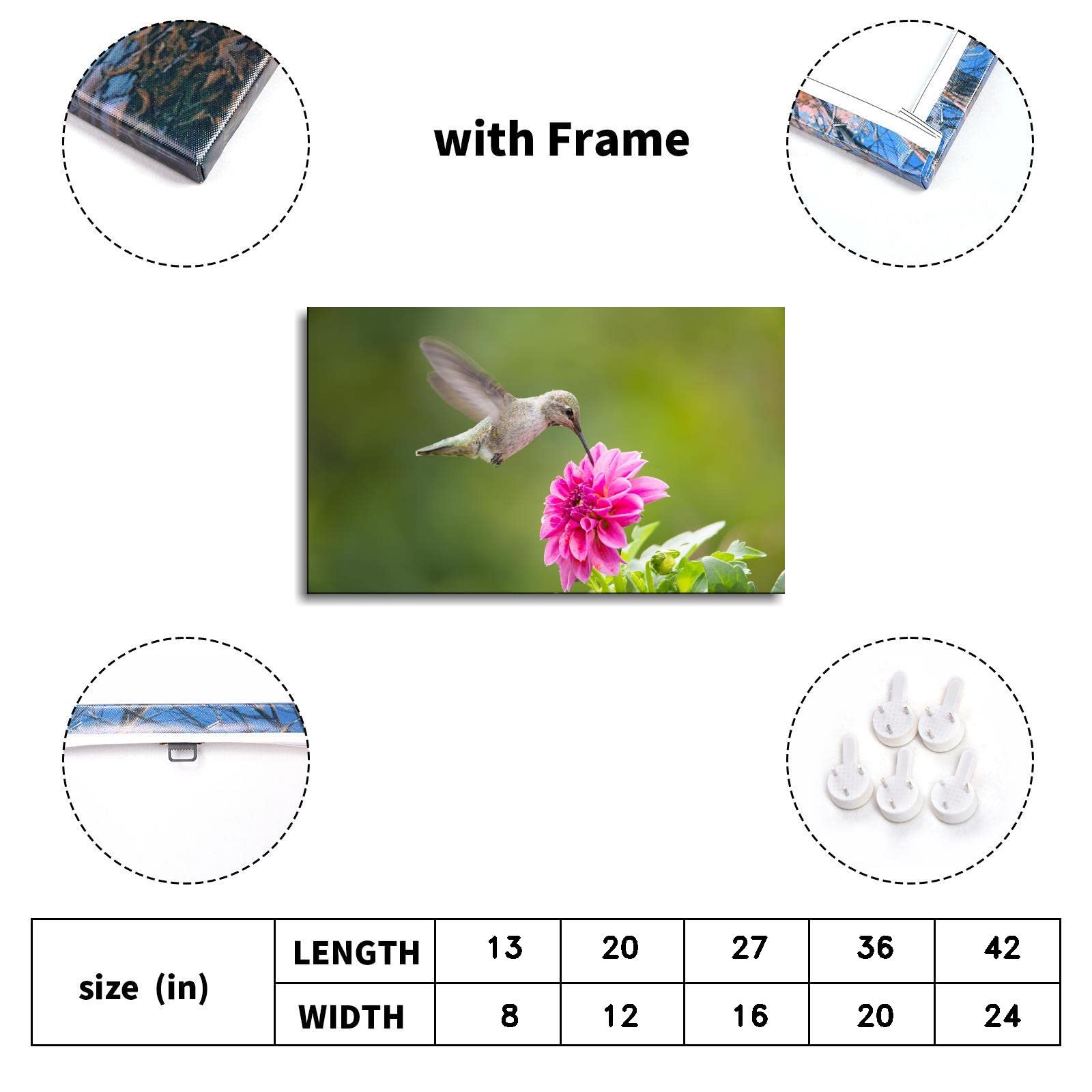 Hummingbird Canvas Wall Art - 20