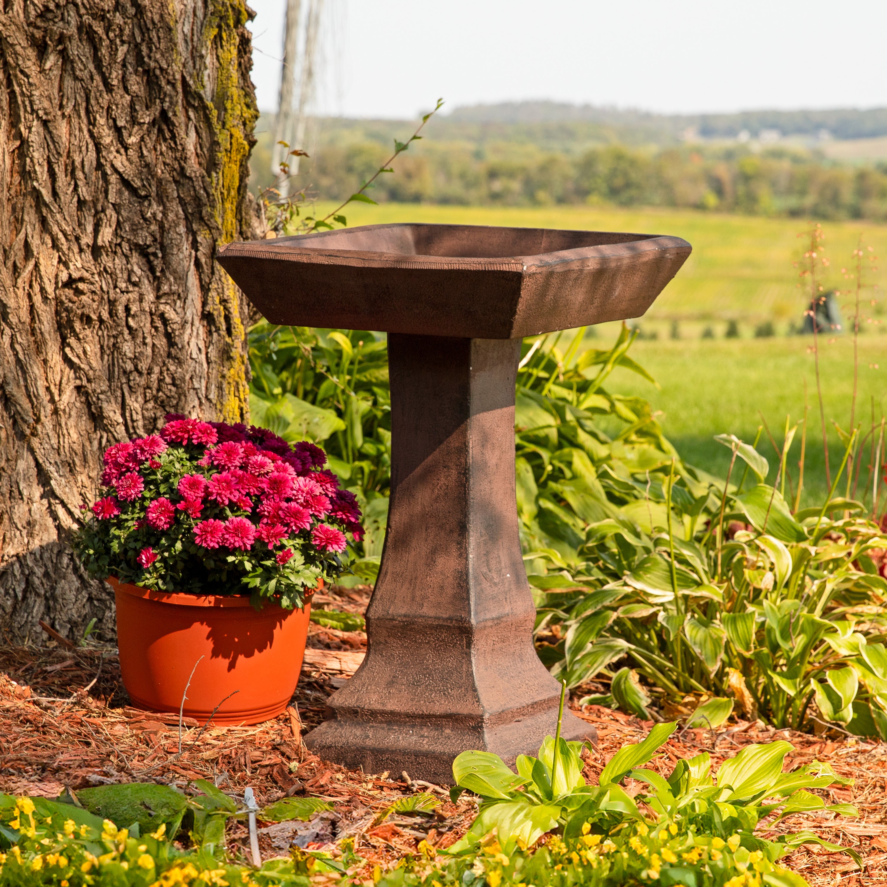 Sunnydaze Simply Square Modern Reinforced Concrete Bird Bath - Outdoor Garden Decoration for Birds & Wildlife - Perfect for Patio, Yard & Backyard Landscaping